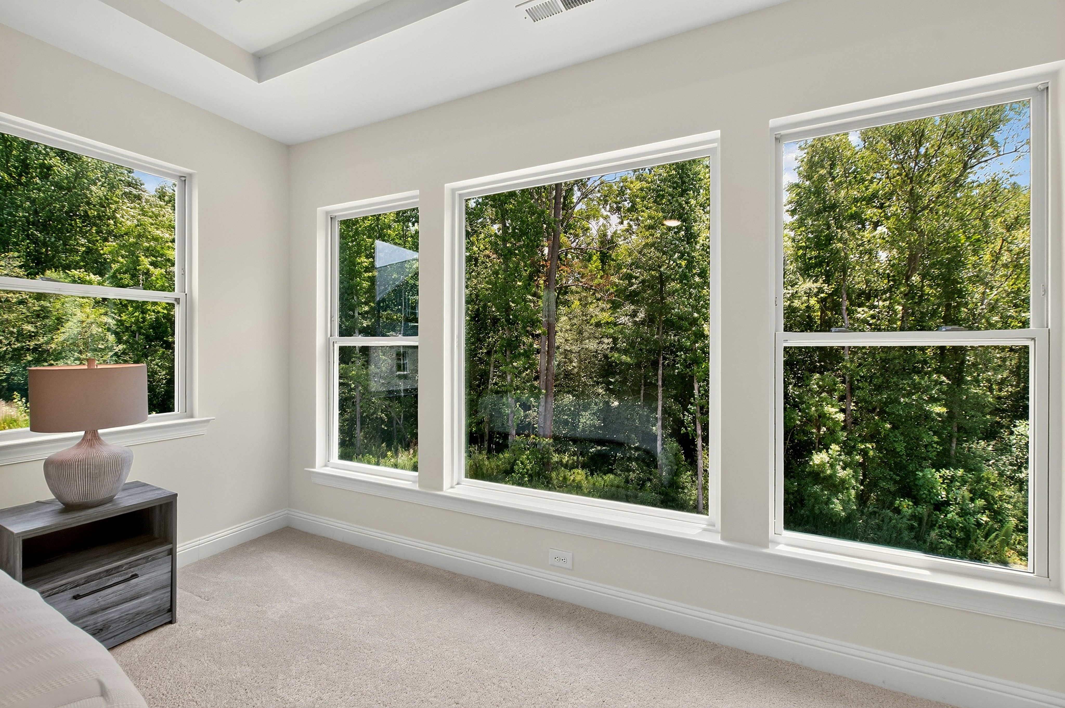  197 Silverside Drive, Angier, NC 27501 - 物件實景