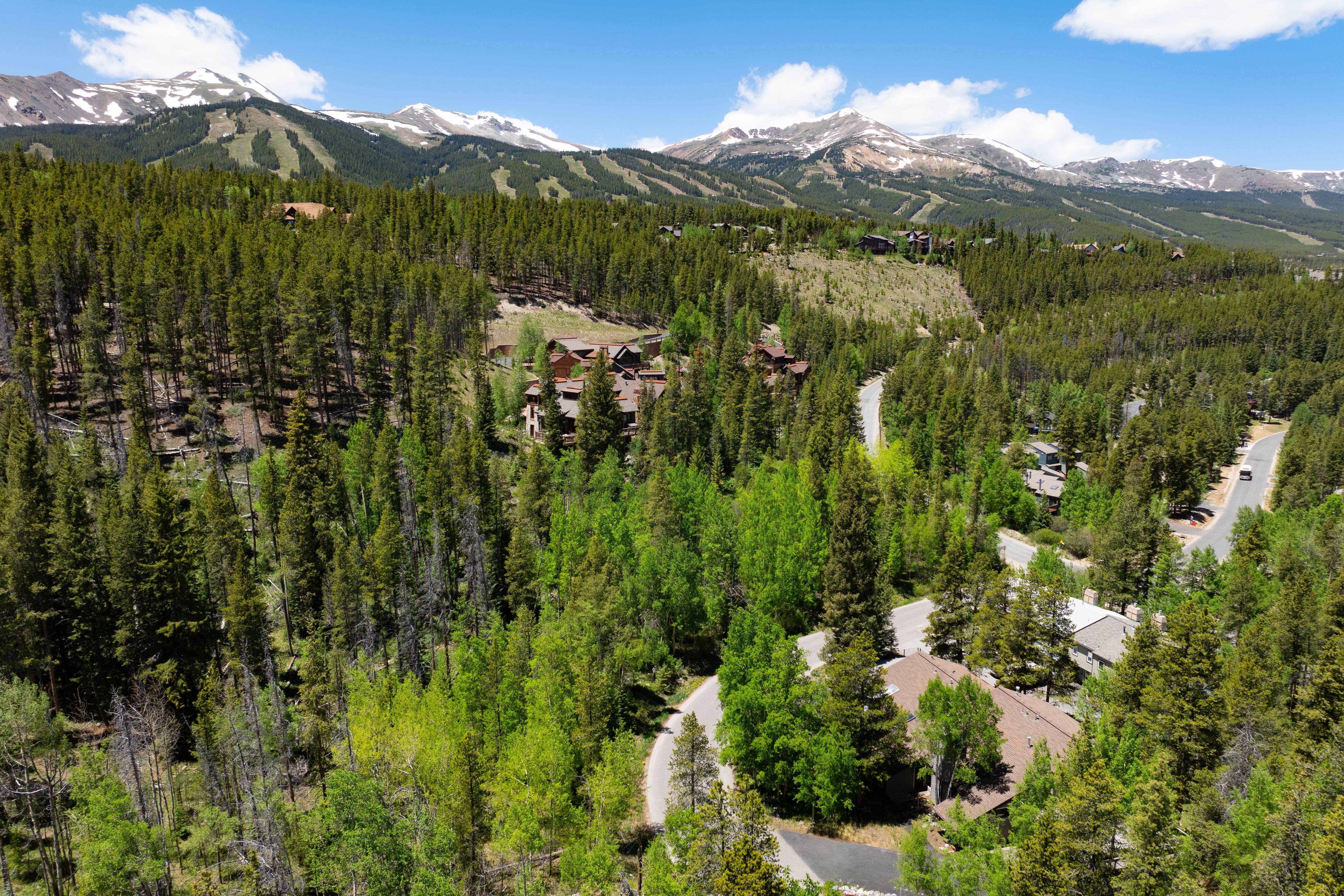  87 Flintstone Lane, Breckenridge, CO, 80424 - 物件實景