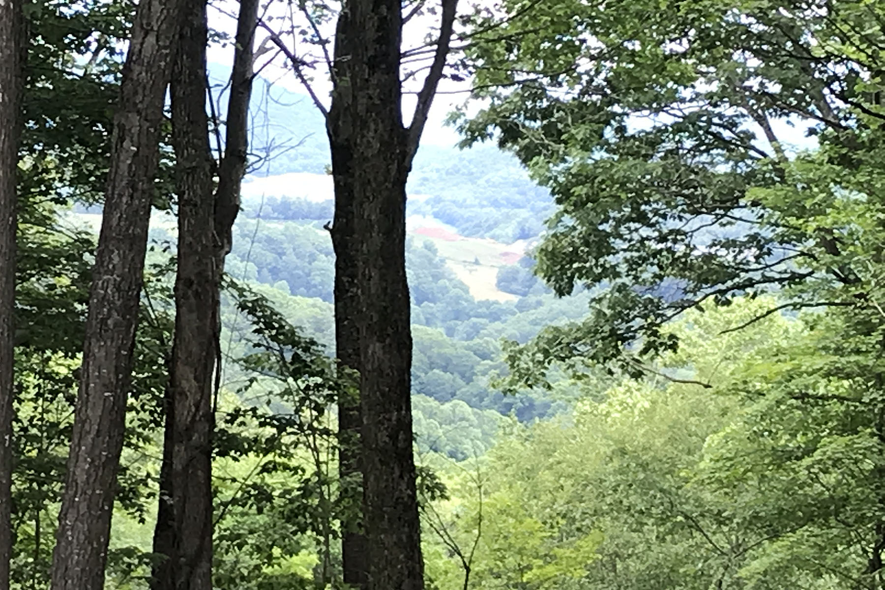  . - 物件實景