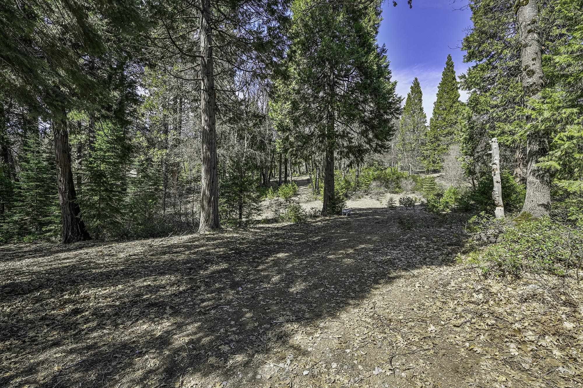 Mt Shasta, California, 96067, United States, 4 Bedrooms Bedrooms, ,3 BathroomsBathrooms,Residential,For Sale,1982137