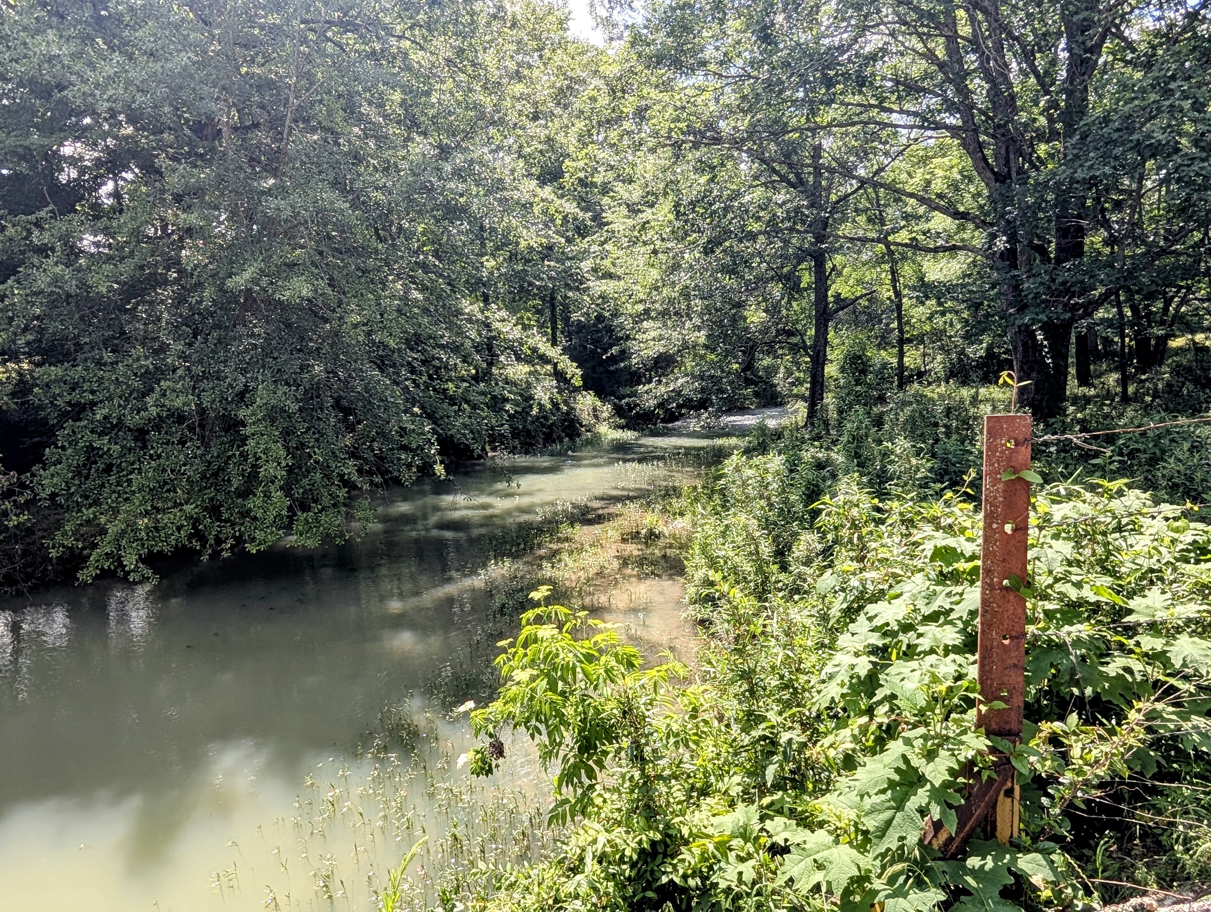 Smithville, Oklahoma, 74957, United States, ,Land,For Sale,1978835