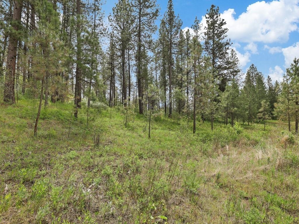 Marshall, Washington, 99020, United States, 3 Bedrooms Bedrooms, ,1 BathroomBathrooms,Residential,For Sale,1839114