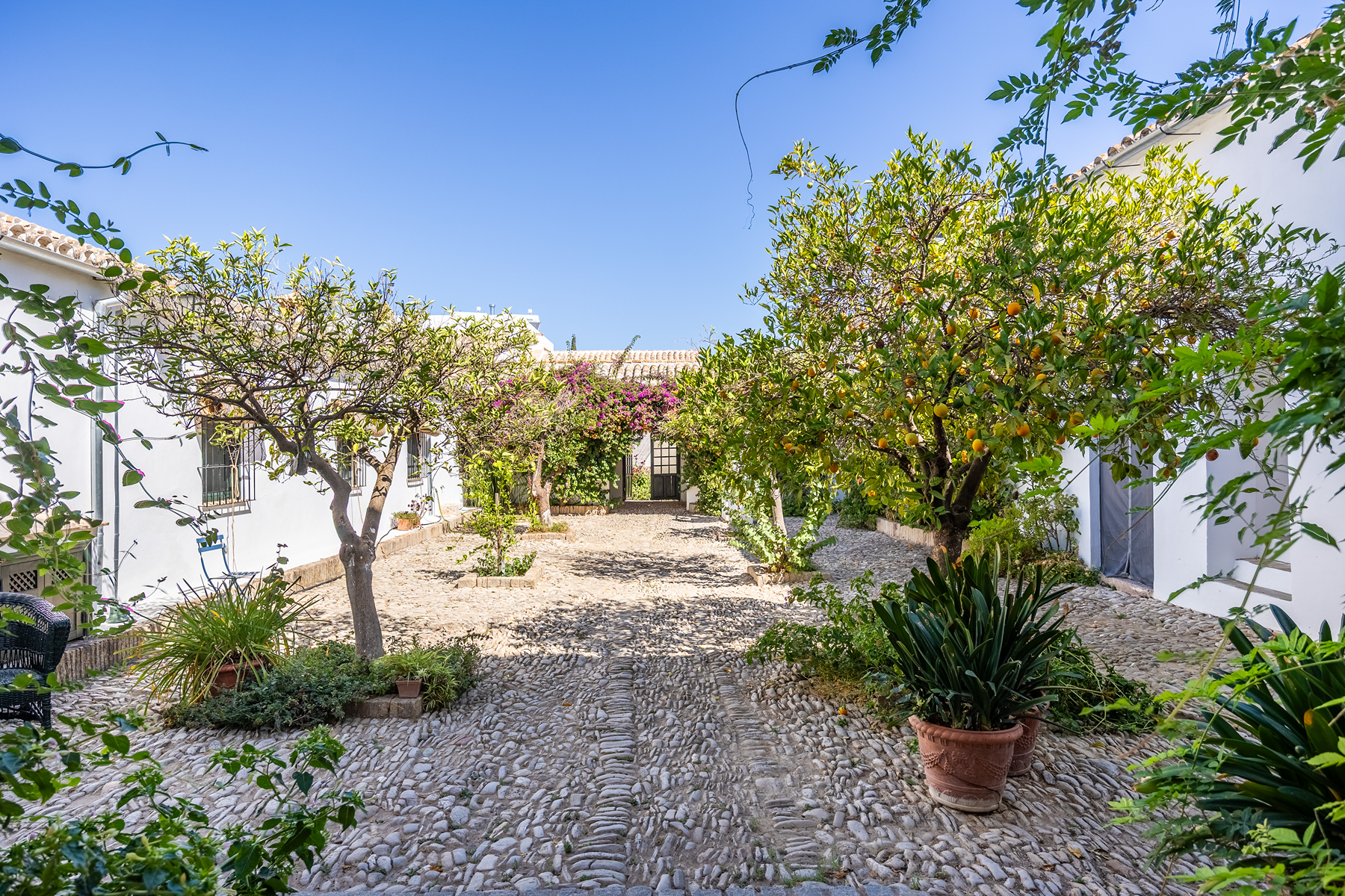  Country house in the province of Cádiz - 物件實景