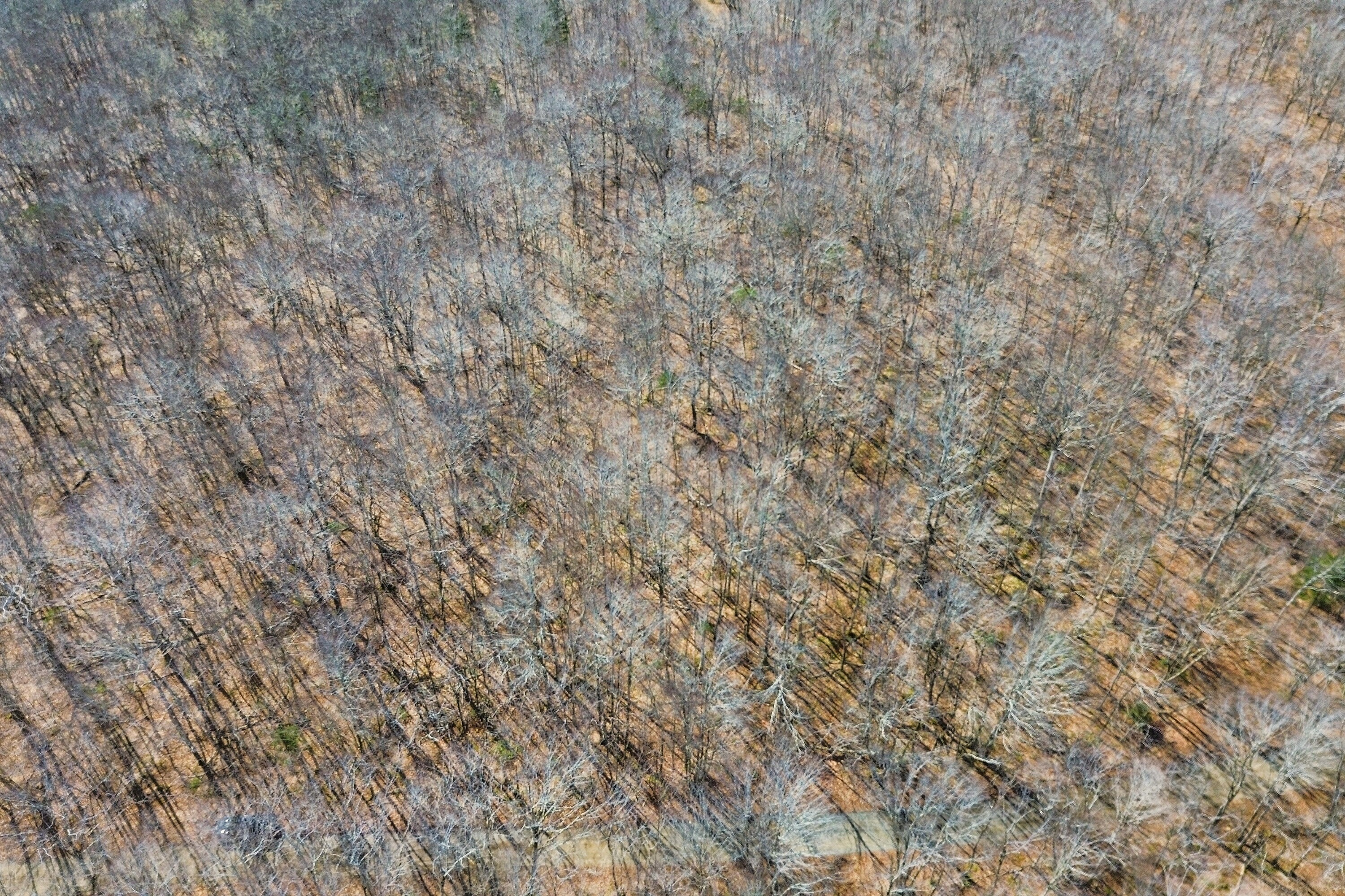  New Tusket, South Shore - 物件實景