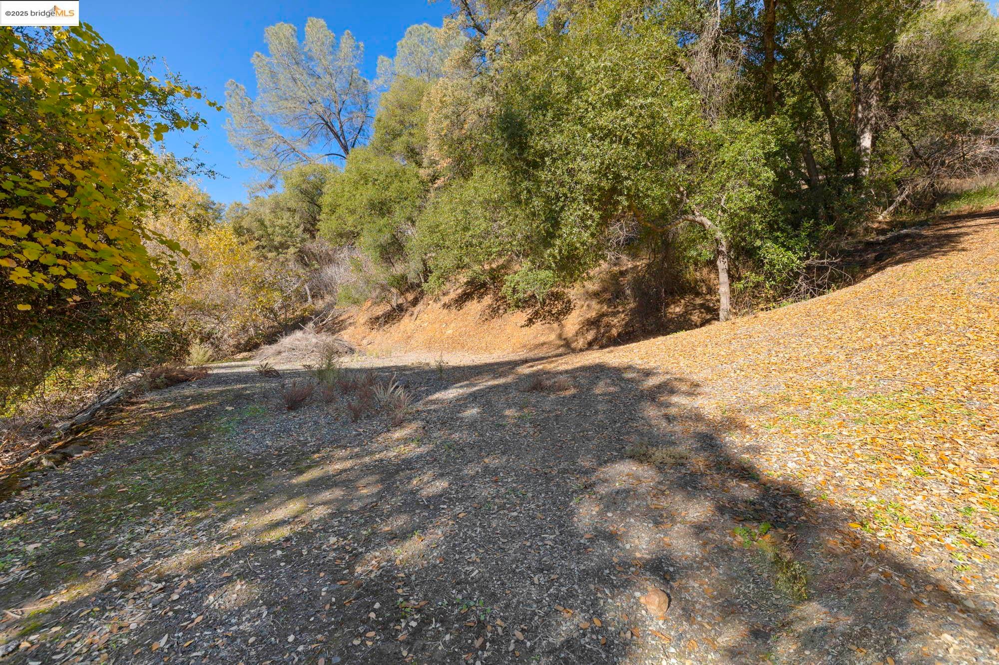 Sonora, California, 95370, United States, 5 Bedrooms Bedrooms, ,4 BathroomsBathrooms,Residential,For Sale,2006245