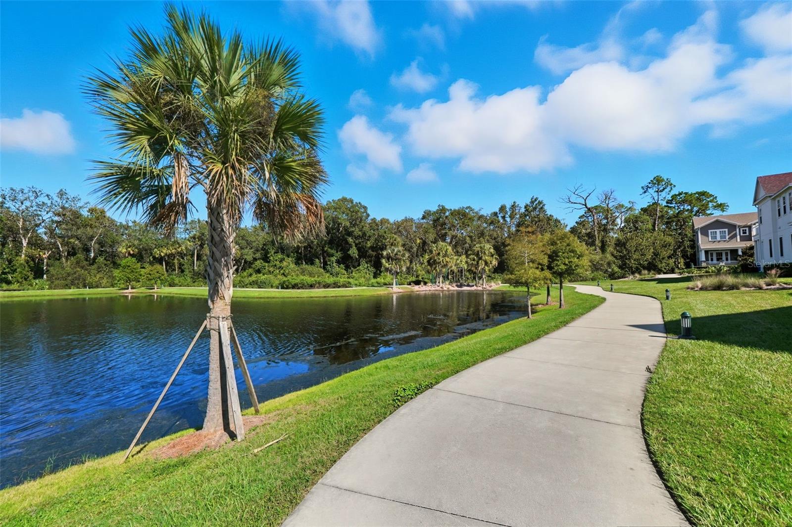 CELEBRATION, Florida, 34747, United States, 3 Bedrooms Bedrooms, ,3 BathroomsBathrooms,Residential,For Sale,1980381