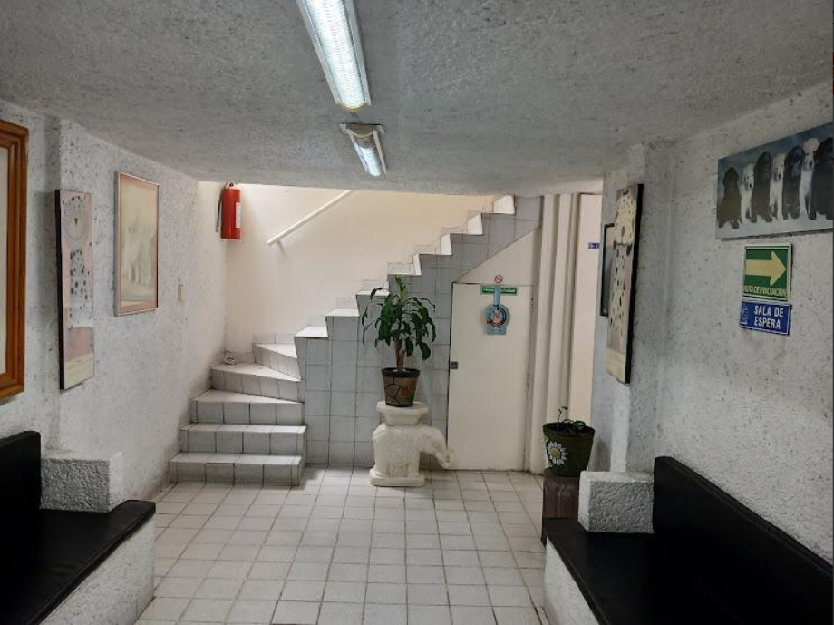 Coyoacán, Ciudad de México, 04200, Mexico, 4 Bedrooms Bedrooms, ,2 BathroomsBathrooms,Residential,For Sale,1916889