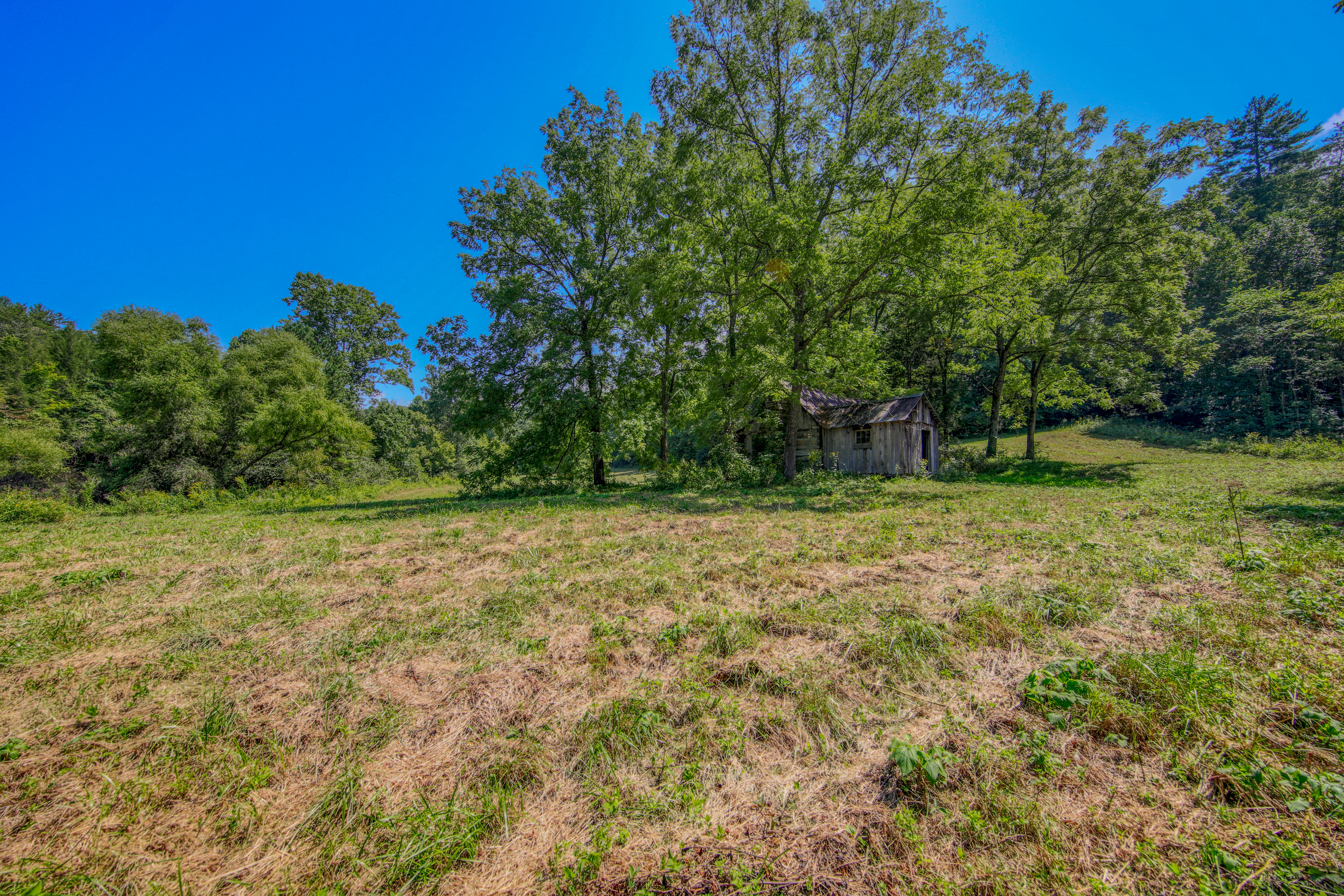  Belcher Loop, Tellico Plains, TN 37385 - 物件實景