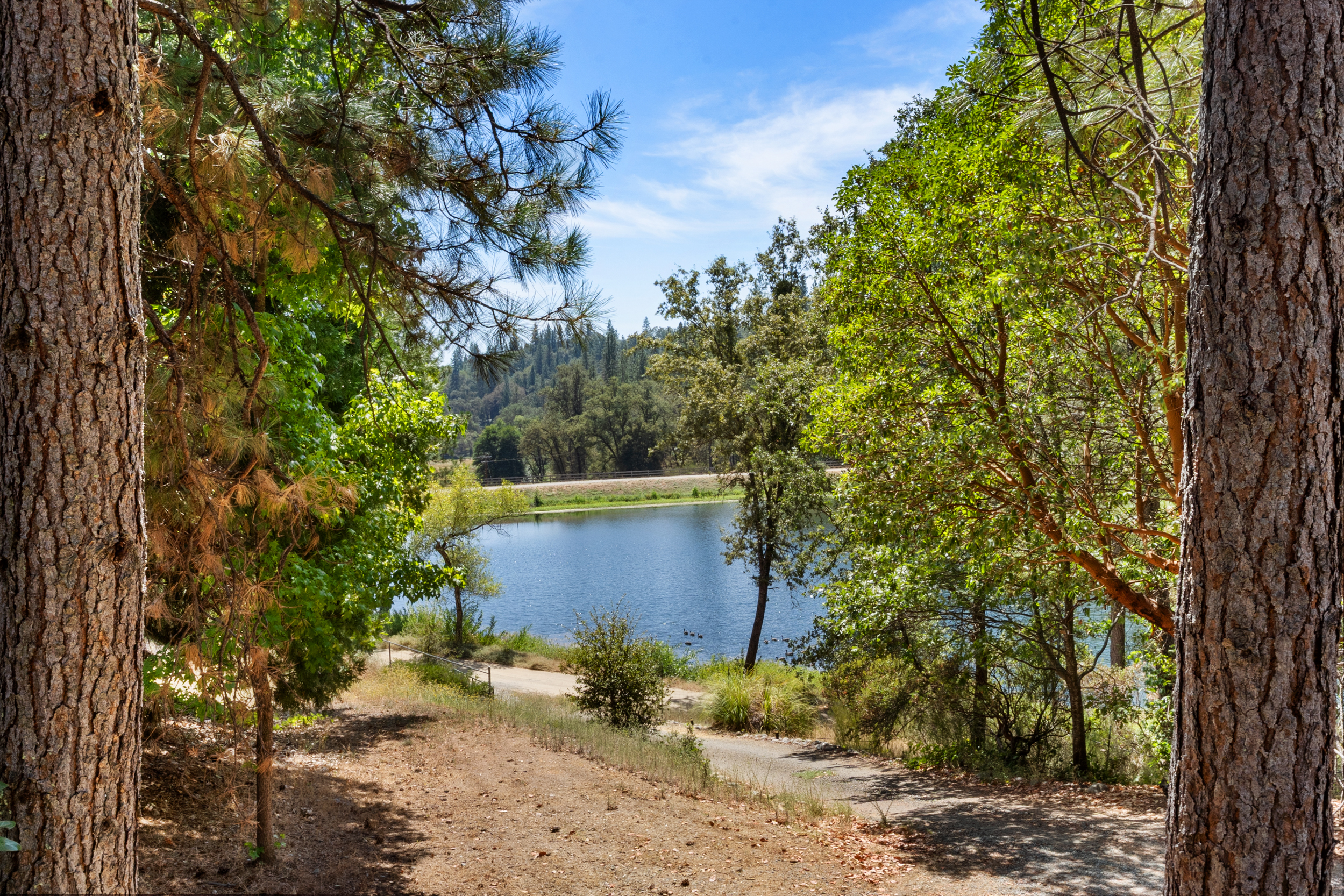  5671 Lago Lane, Garden Valley, CA 95633 - 物件實景