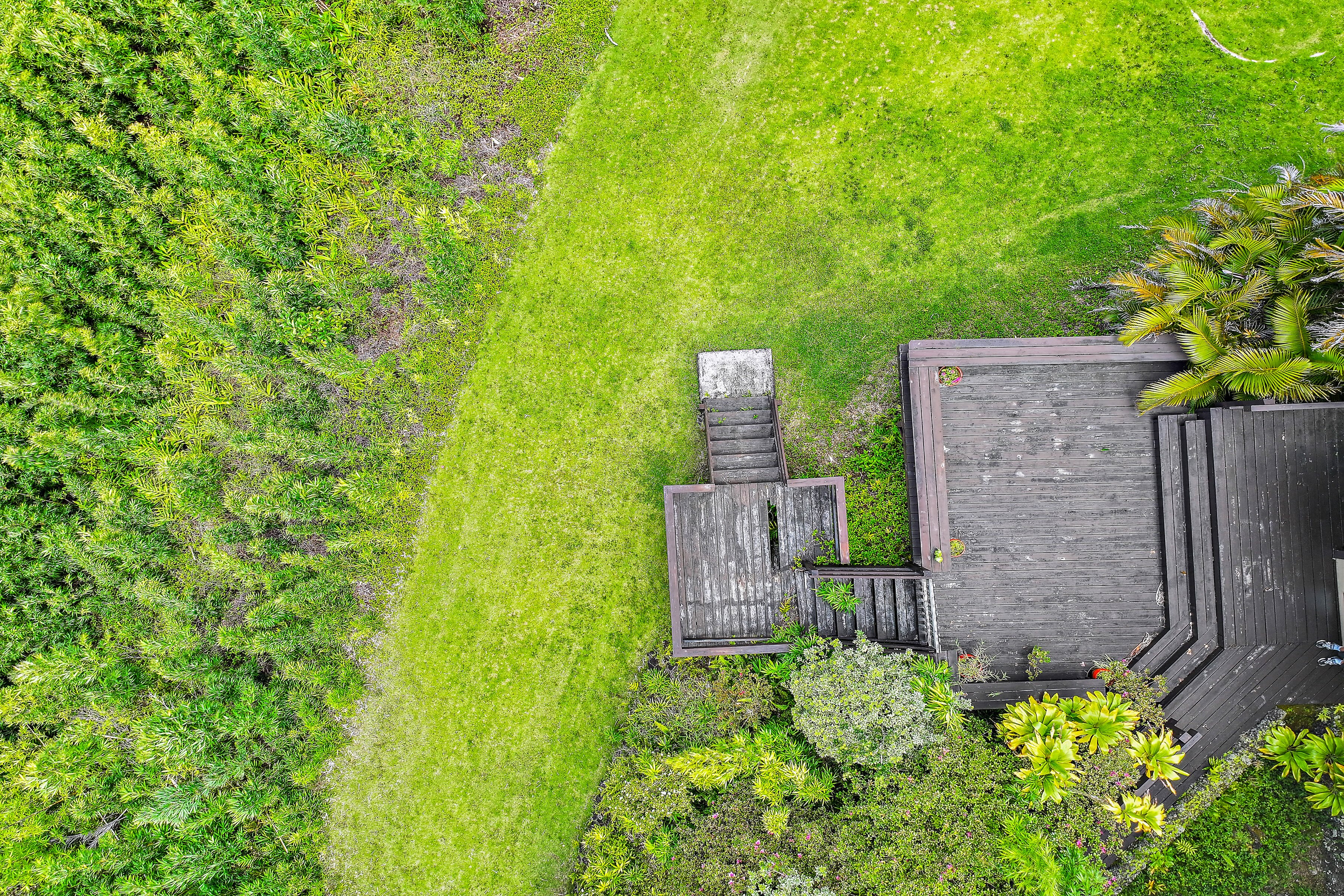  Architectural Haiku Retreat on Nearly 10 Private Acres - 物件實景