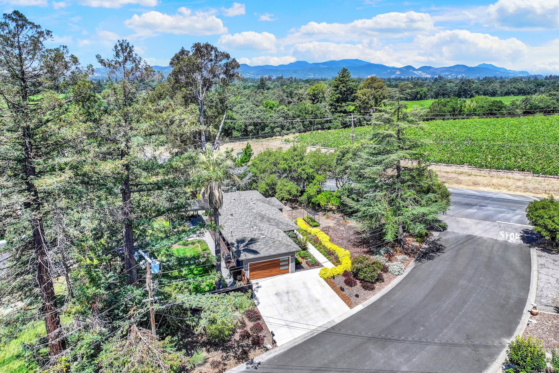  Style and Comfort in Napa - 物件實景