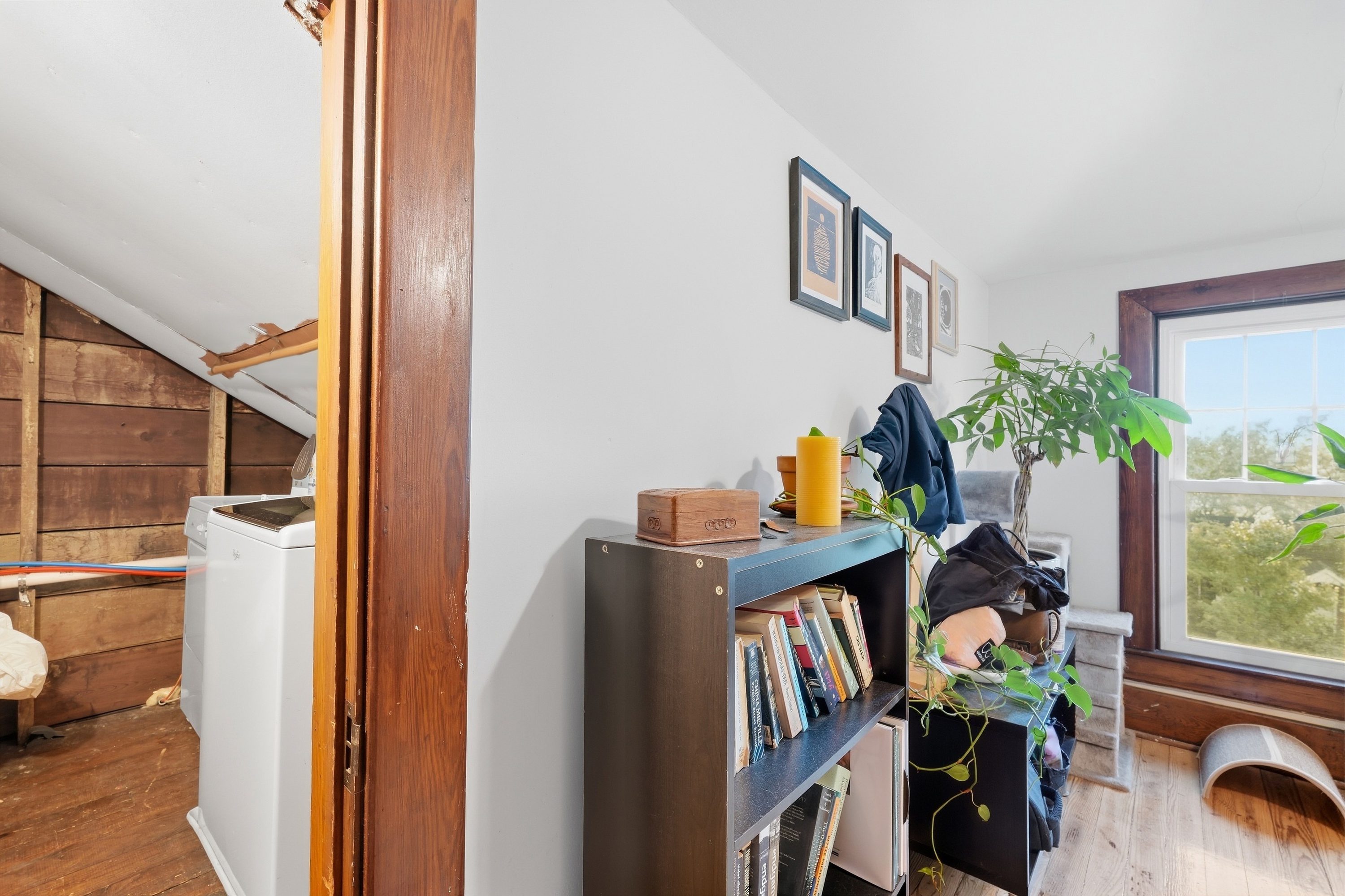  1855 Harvard Drive, Louisville, KY 40205 - 物件實景