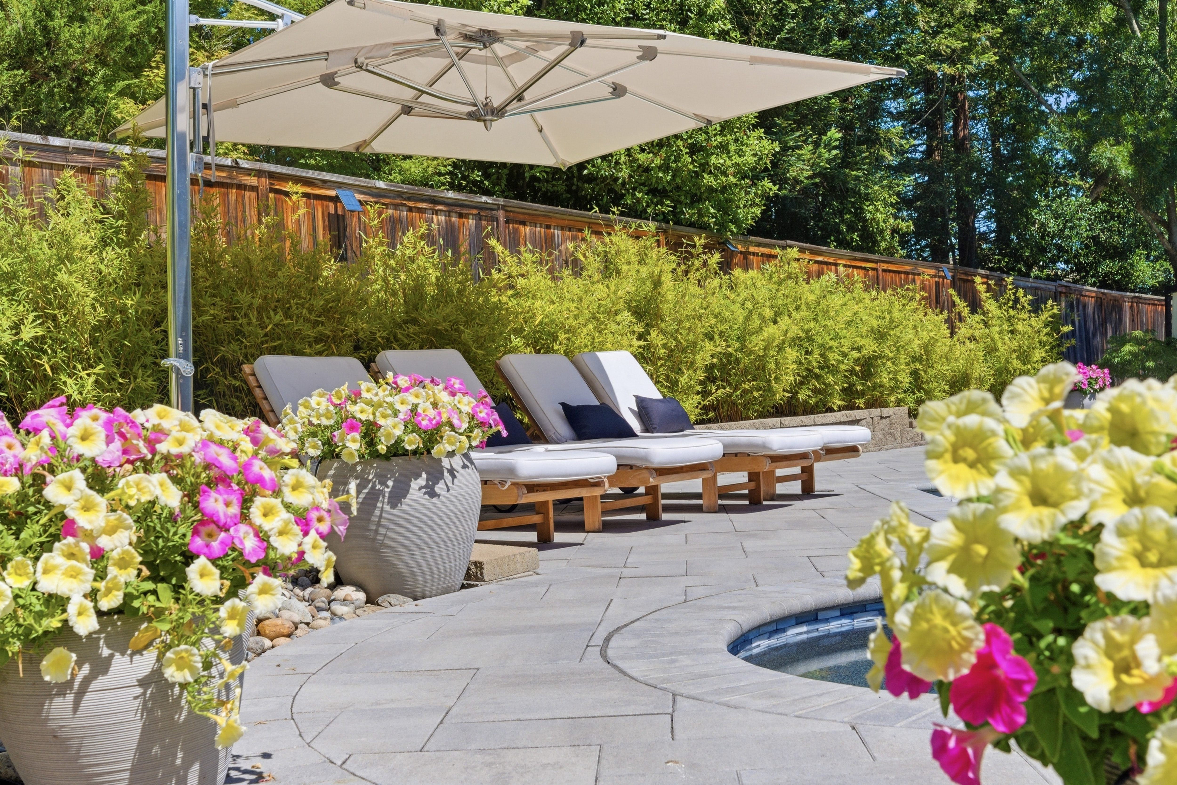  Timeless Transitional Estate with Resort-Style Backyard - 物件實景