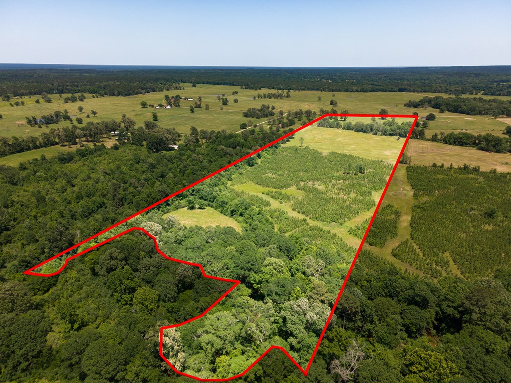 Pollok, Texas, 75969, United States, ,Residential,For Sale,1928088