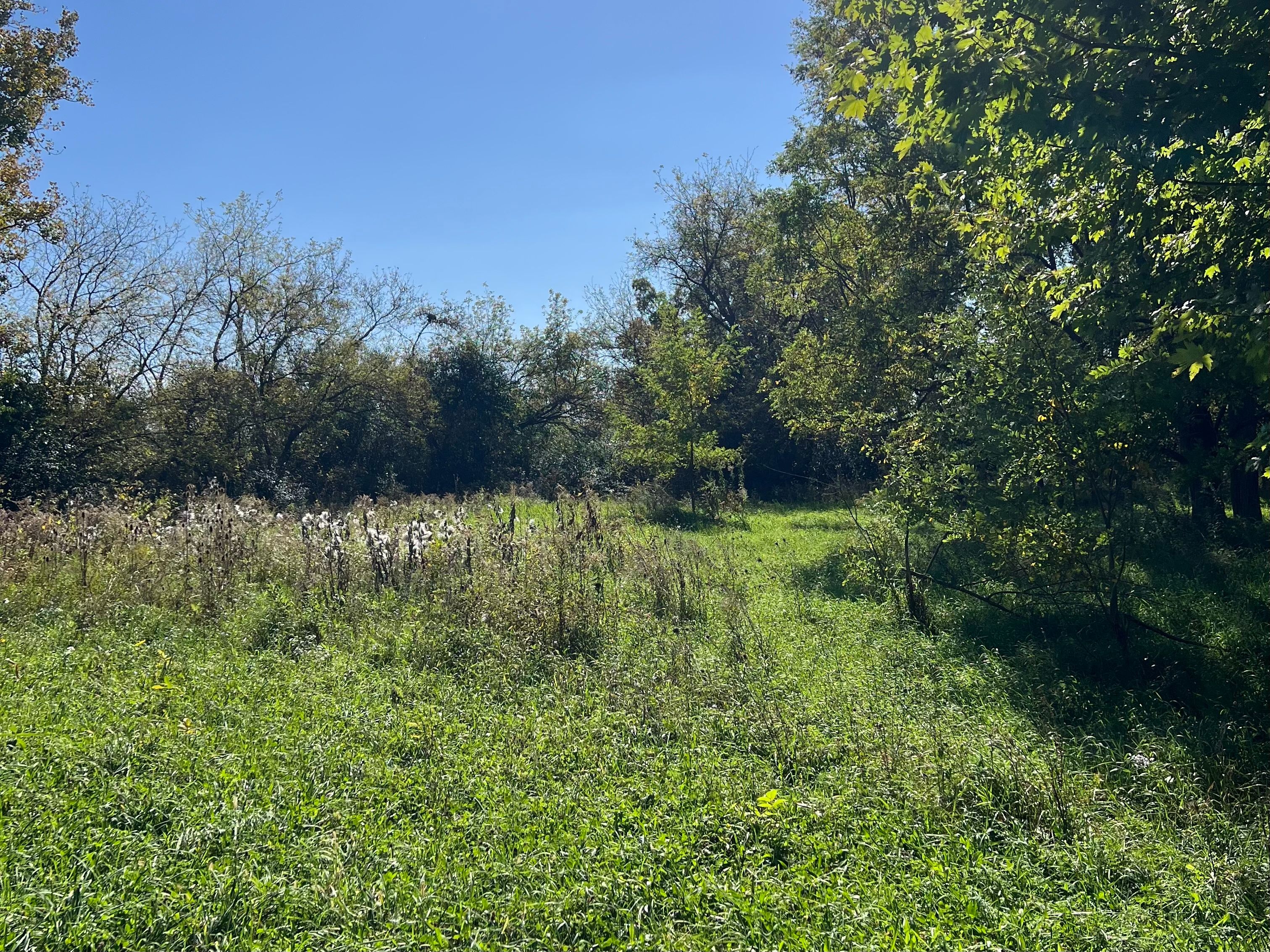  Discover the Perfect Setting to Build Your Dream Home on 5.27 Beautiful Acres - 物件實景