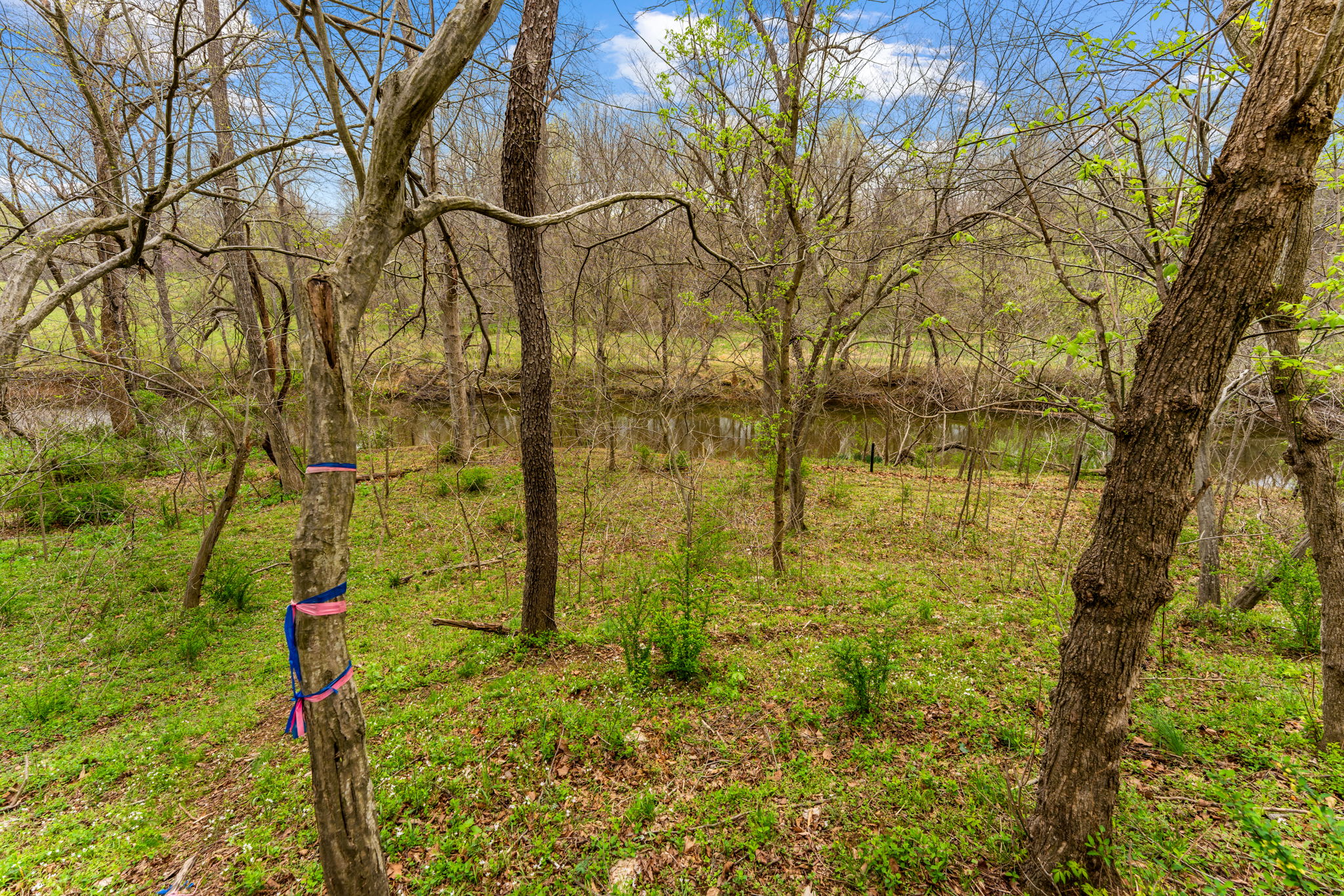  14039 Amys Meadow Court, Leesburg, VA, 20176 - 物件實景