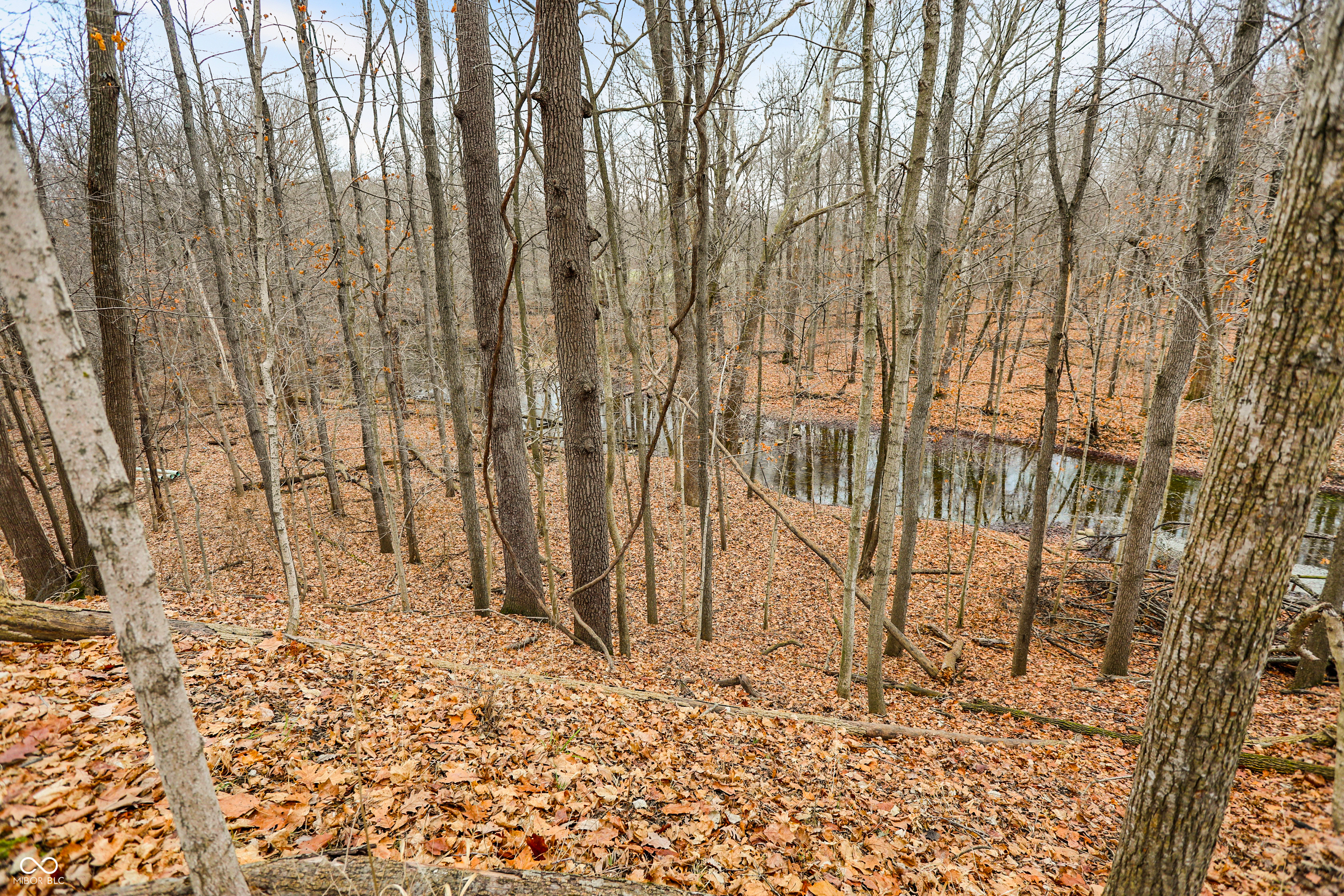 Arcadia, Indiana, 46030, United States, ,Residential,For Sale,2009642