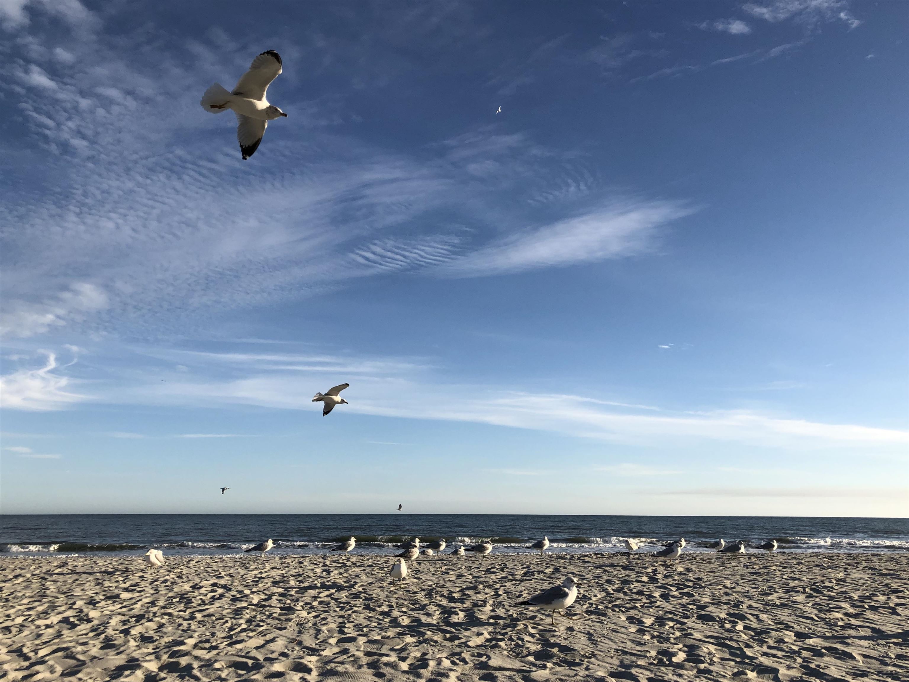 North Myrtle Beach, South Carolina, 29582, United States, 3 Bedrooms Bedrooms, ,2 BathroomsBathrooms,Residential,For Sale,2048673