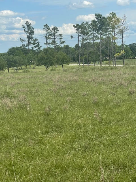 Holland, Texas, 76534, United States, ,Residential,For Sale,1994334