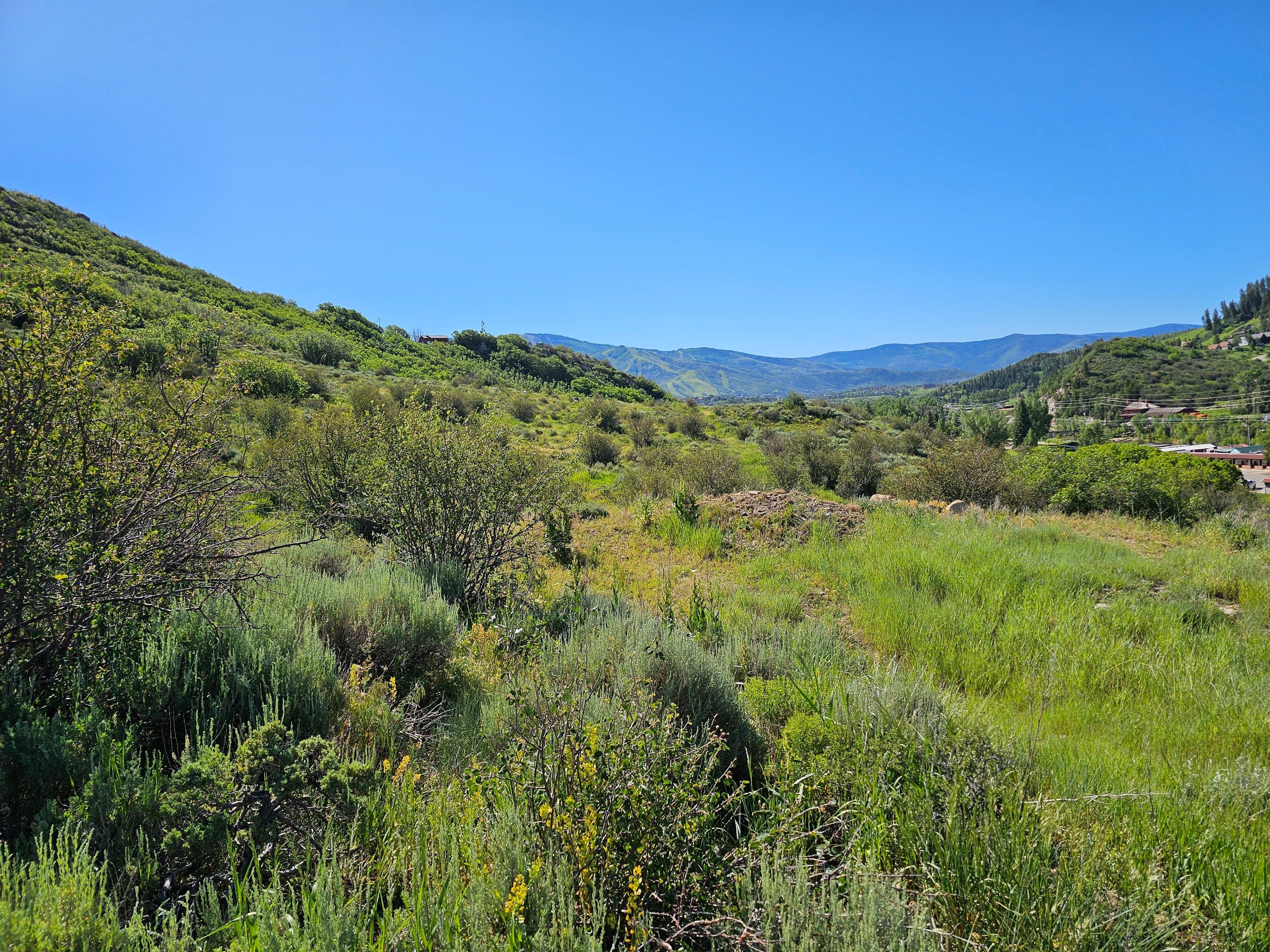  1327 Indian Trail, Steamboat Springs, CO, 80487 - 物件實景