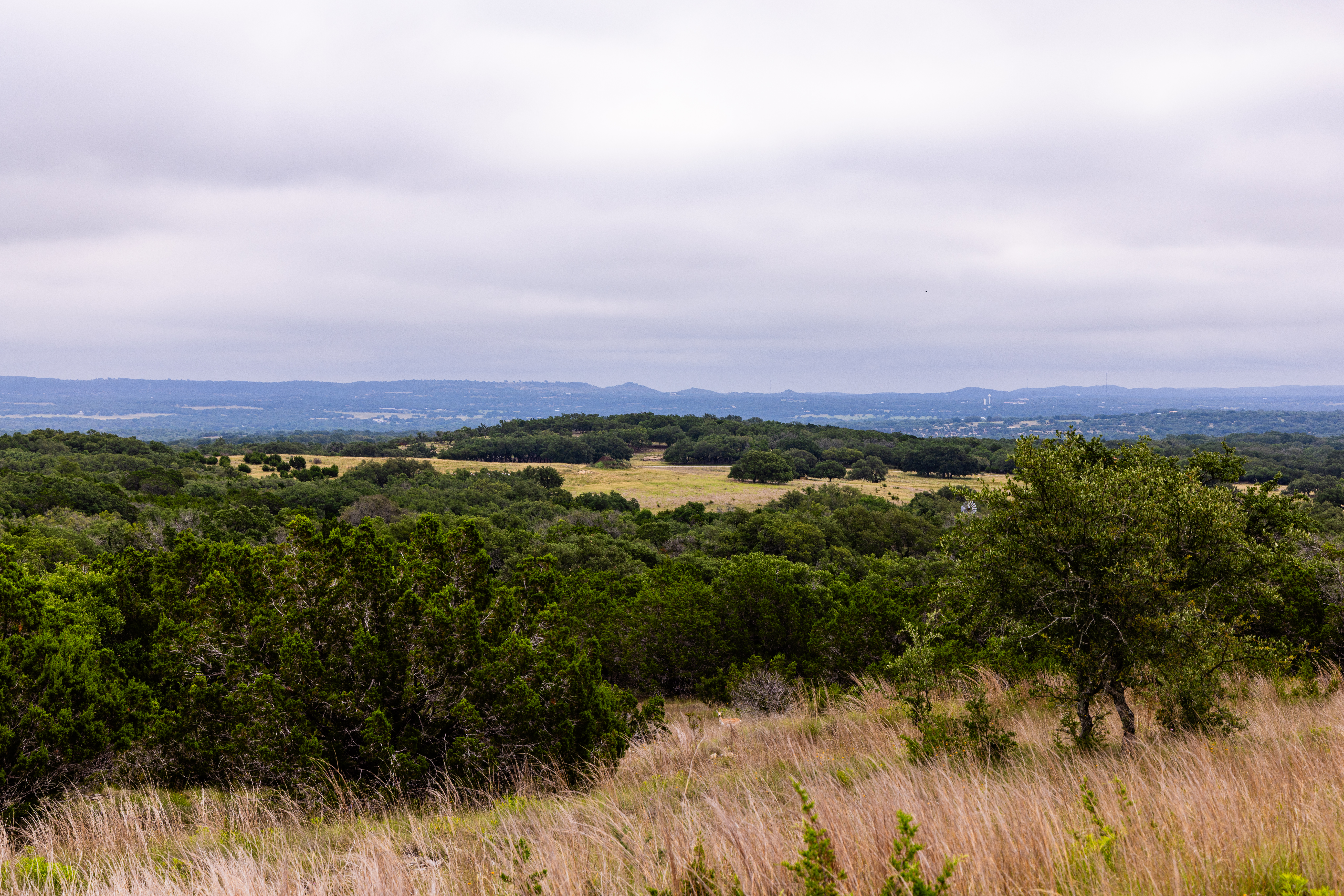  Expansive 10-Acre Lot - 物件實景