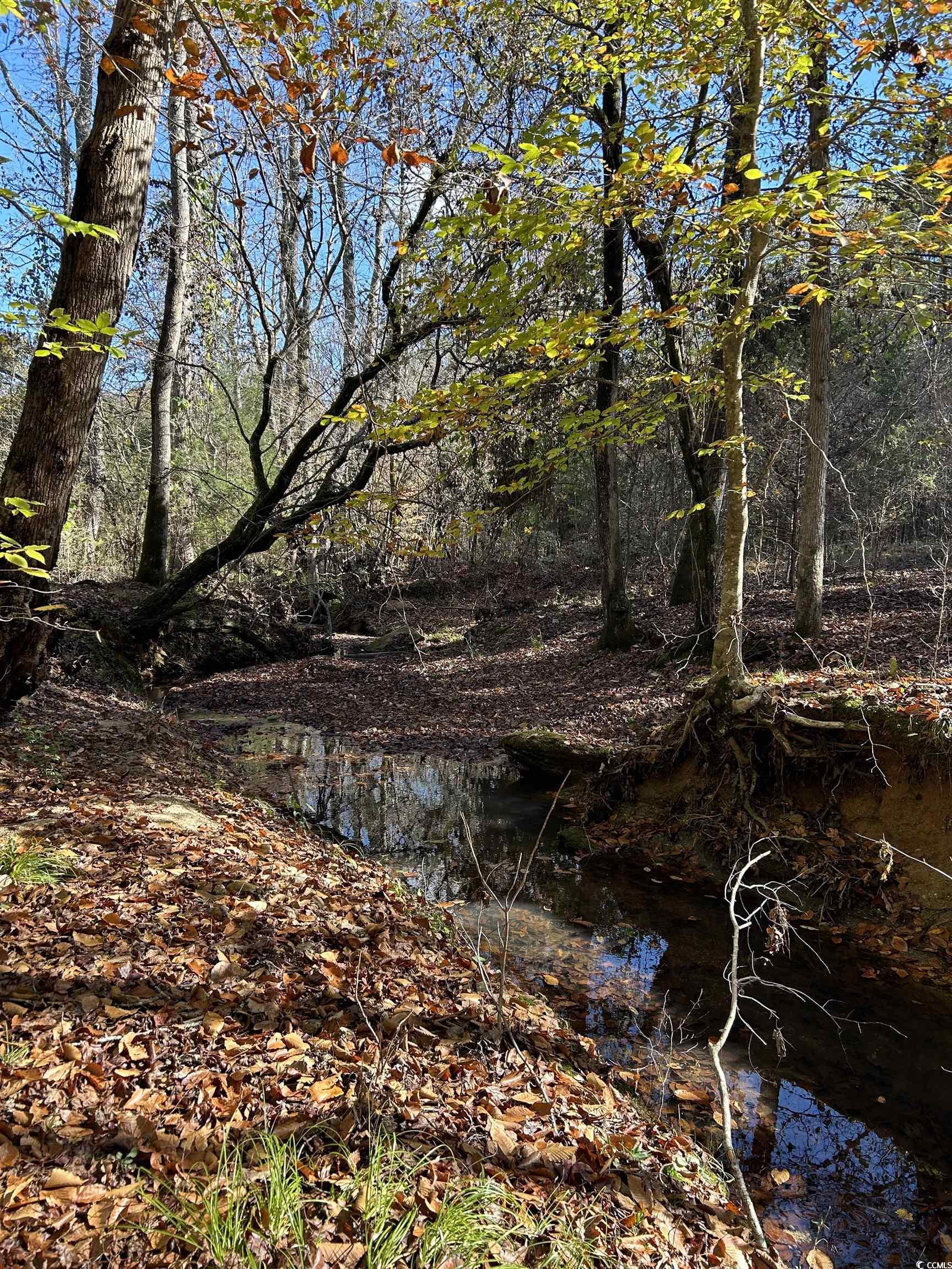  TBD River Fork Rd - 物件實景