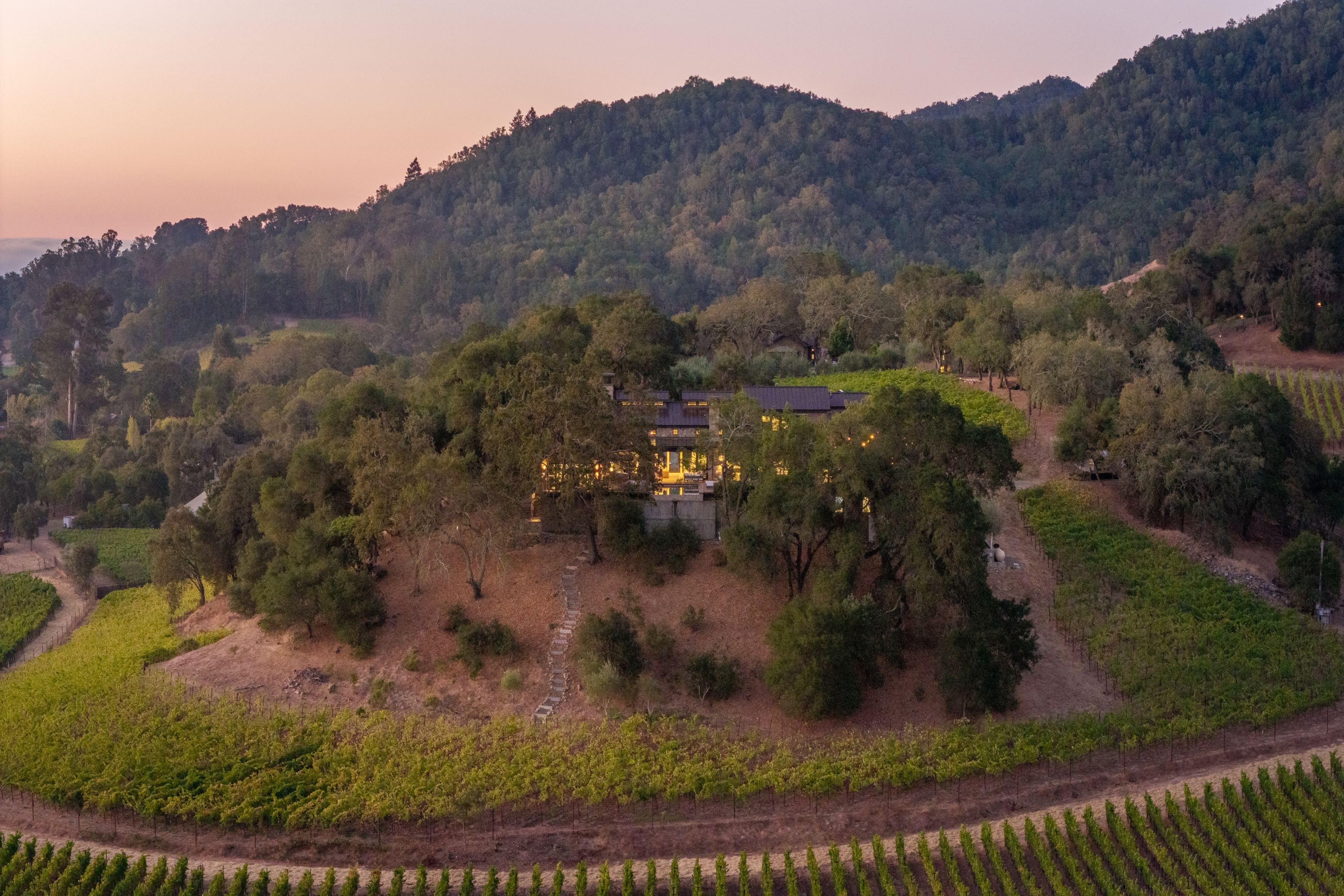  45 Vineyard View Drive - 物件實景