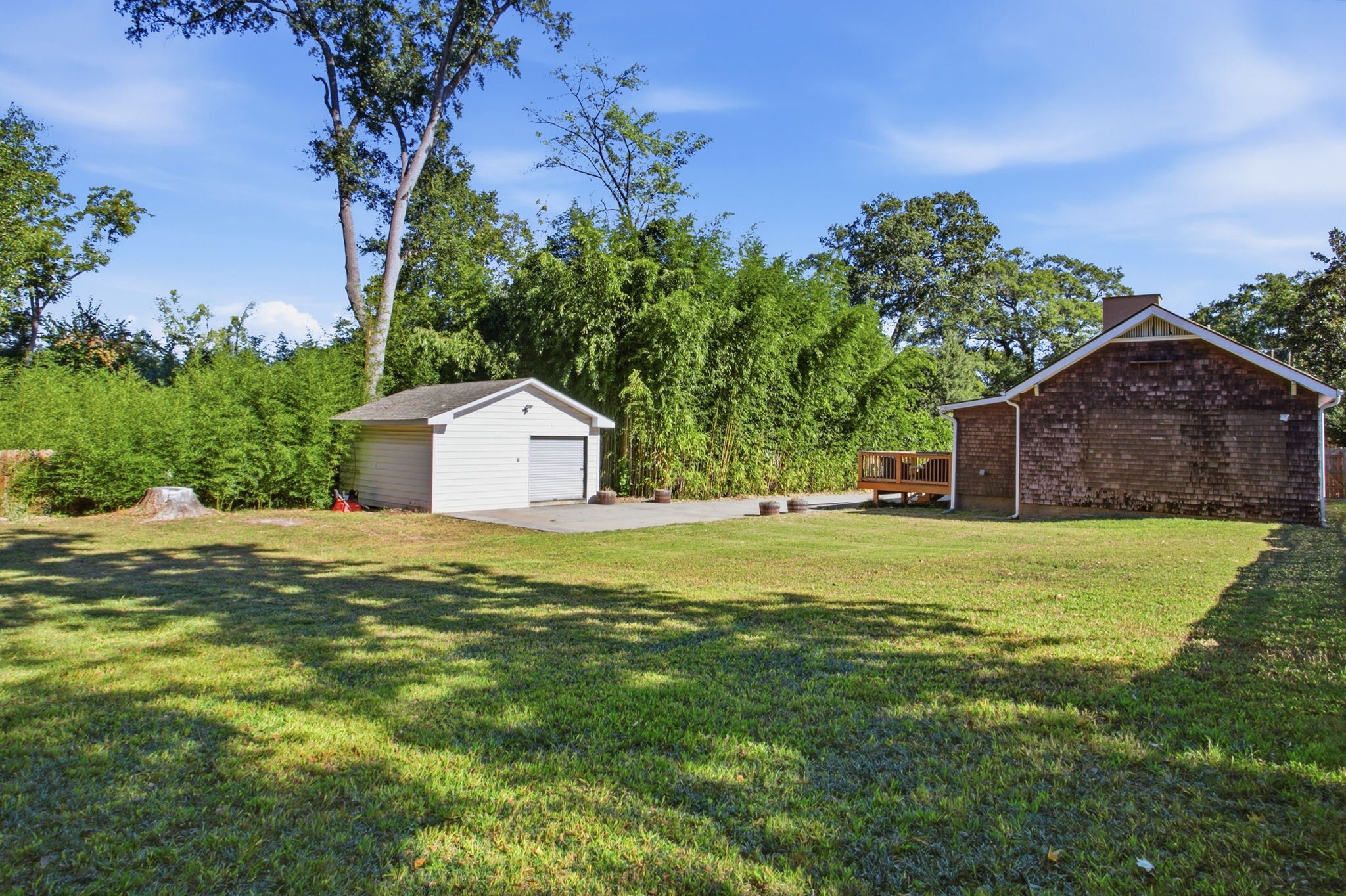  19 David Street, Greenville, SC 29609 - 物件實景