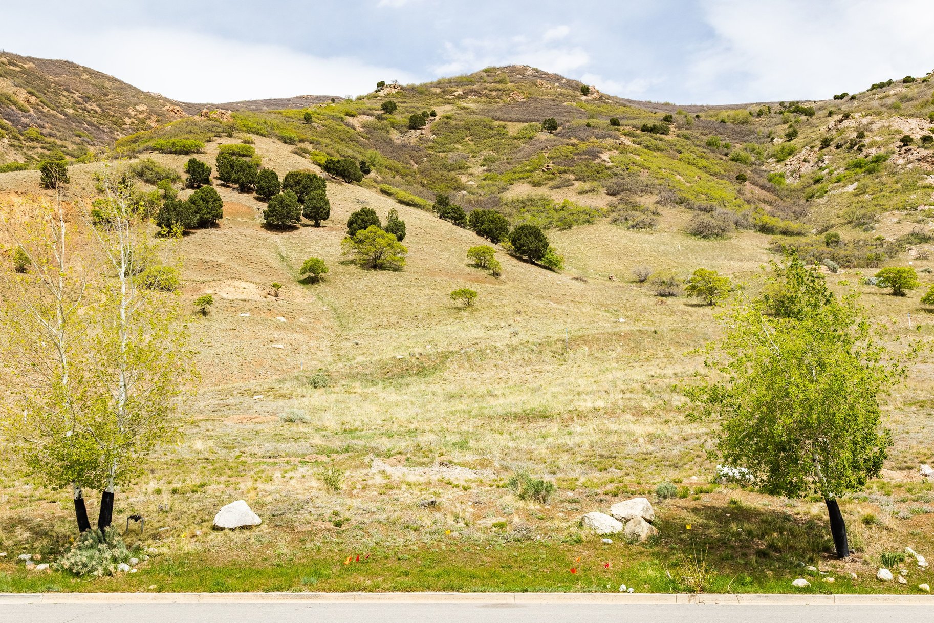  Exclusive Tavaci Homesite  Elevated Living with Panoramic Valley & Wasatch View - 物件實景