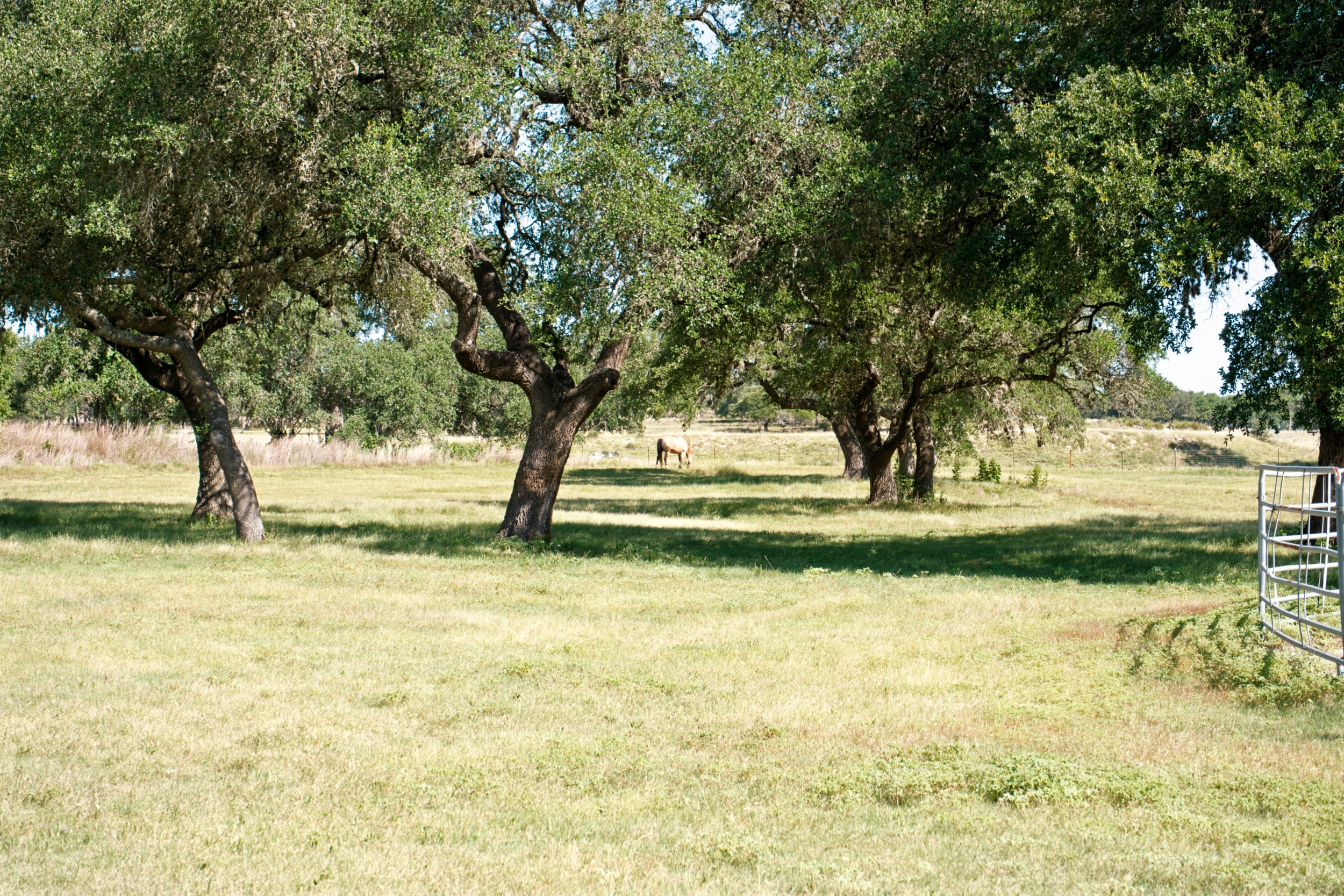  Uballe Ranch in Blanco County - 物件實景