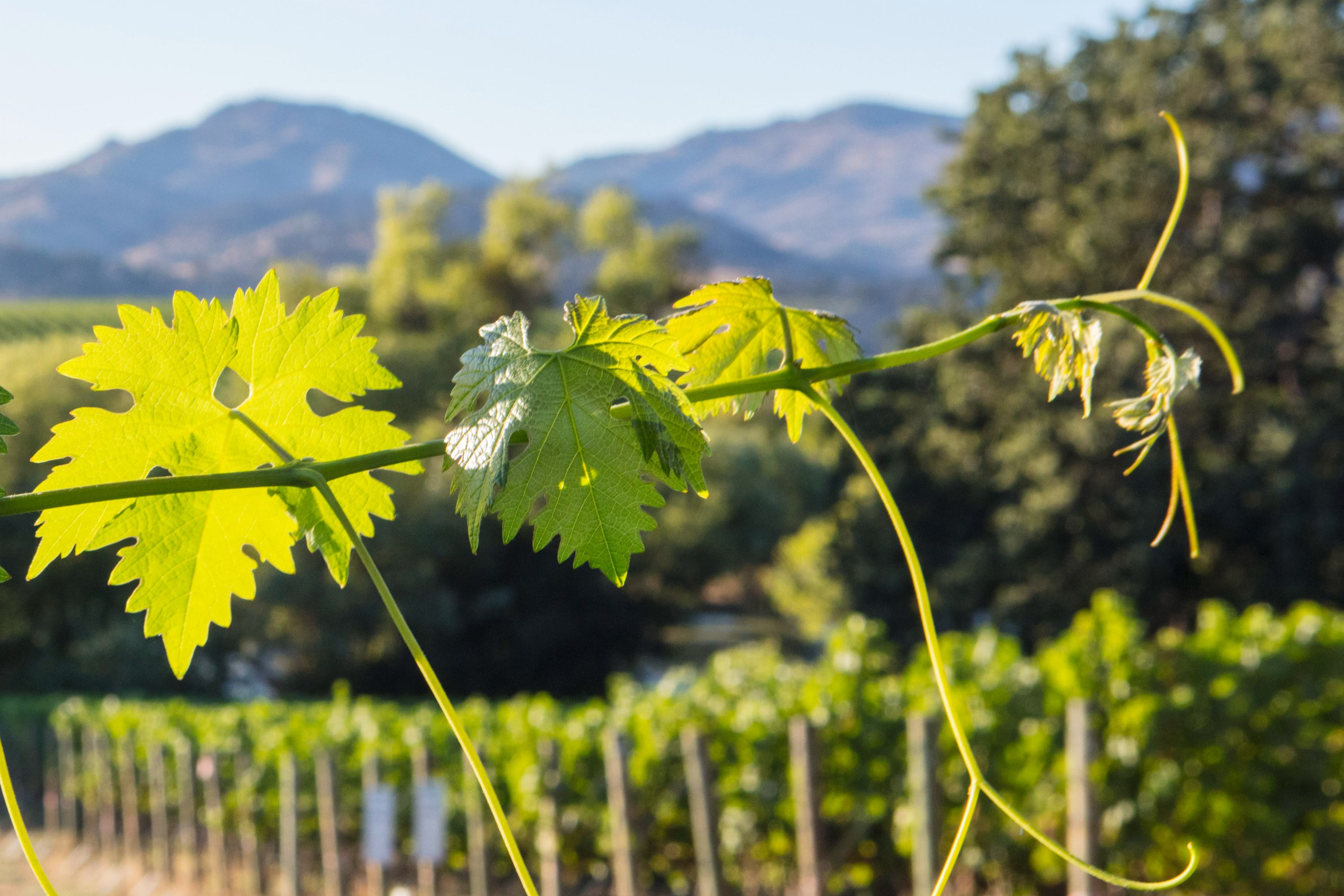  Krupp Brothers Estate - 物件實景
