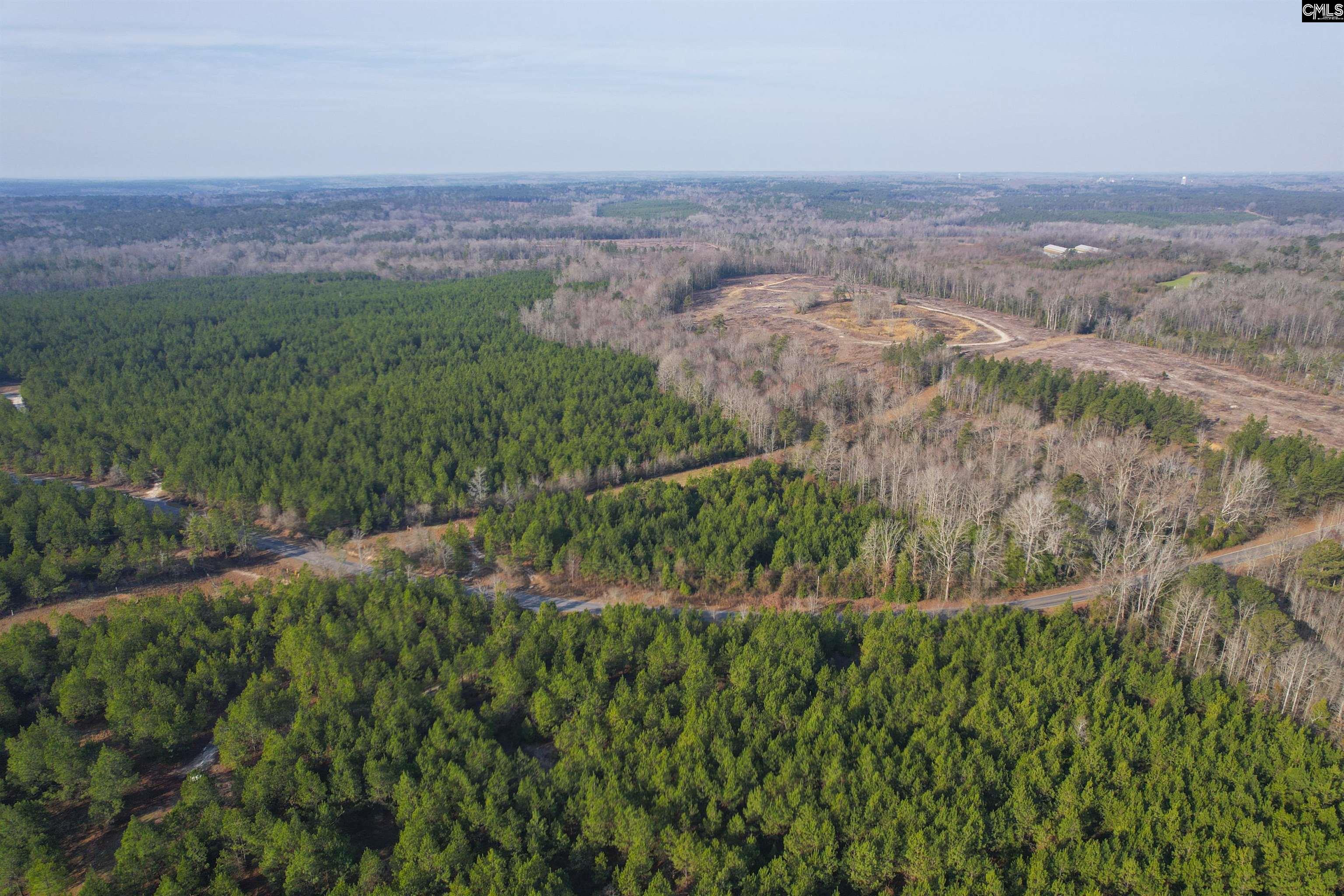 703 Neds Creek Road, Kershaw, South Carolina, 29067, United States, ,Land,For Sale,703 Neds Creek Road,1669372