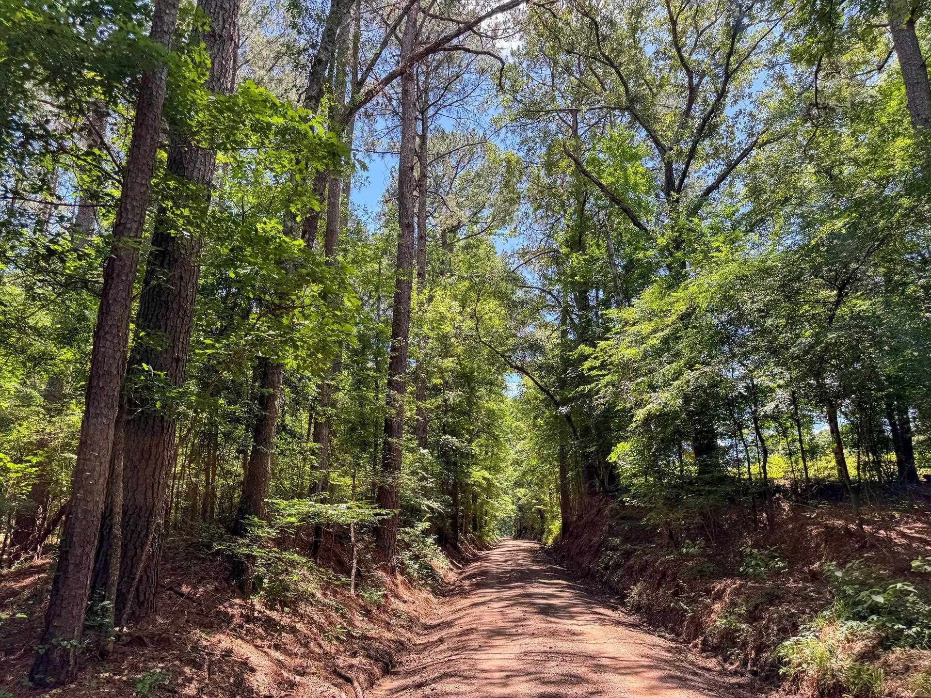 Douglassville, Texas, 75560, United States, ,Land,For Sale,2048006