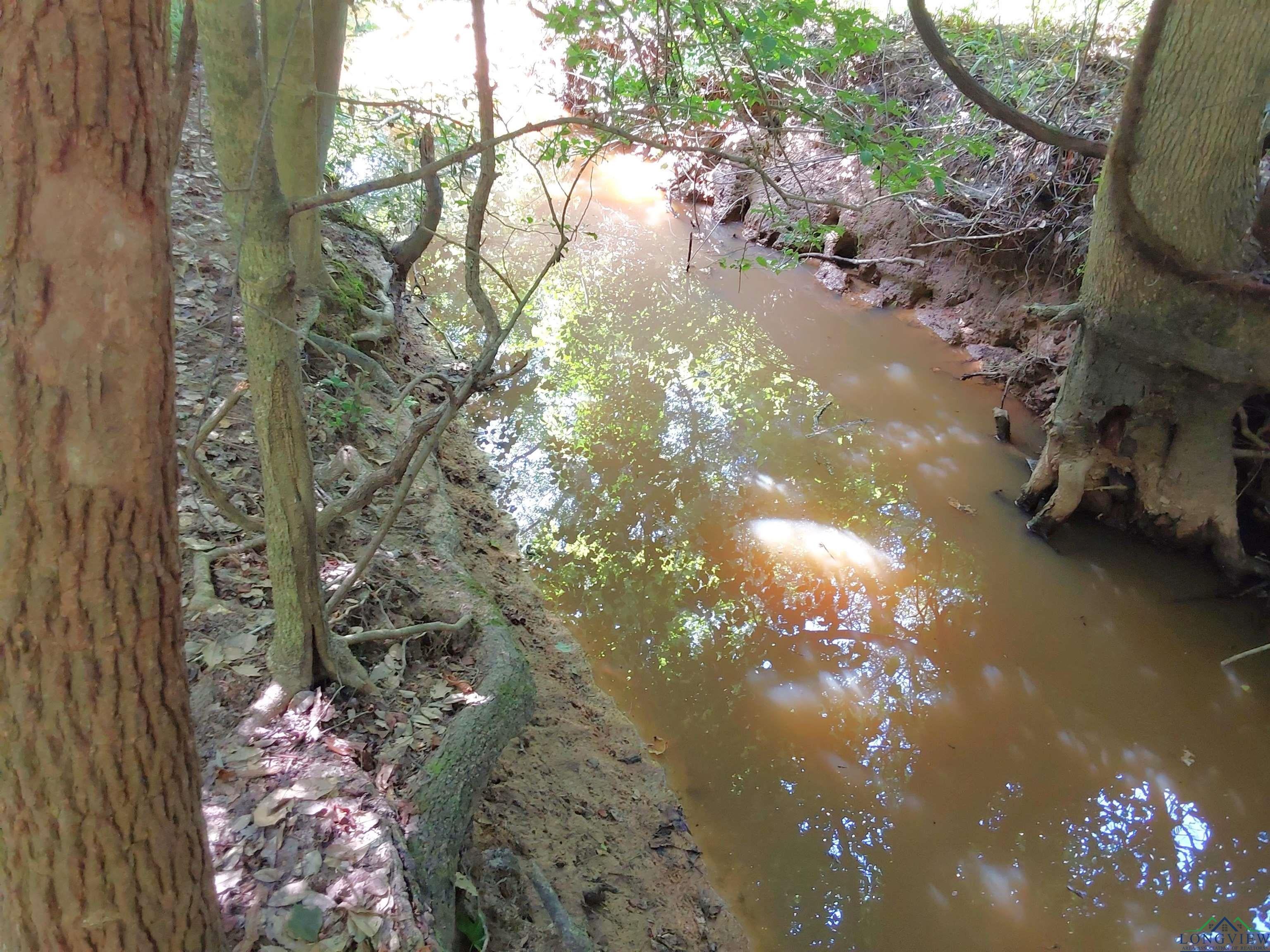 Linden, Texas, 75563, United States, 3 Bedrooms Bedrooms, ,3 BathroomsBathrooms,Residential,For Sale,1974630