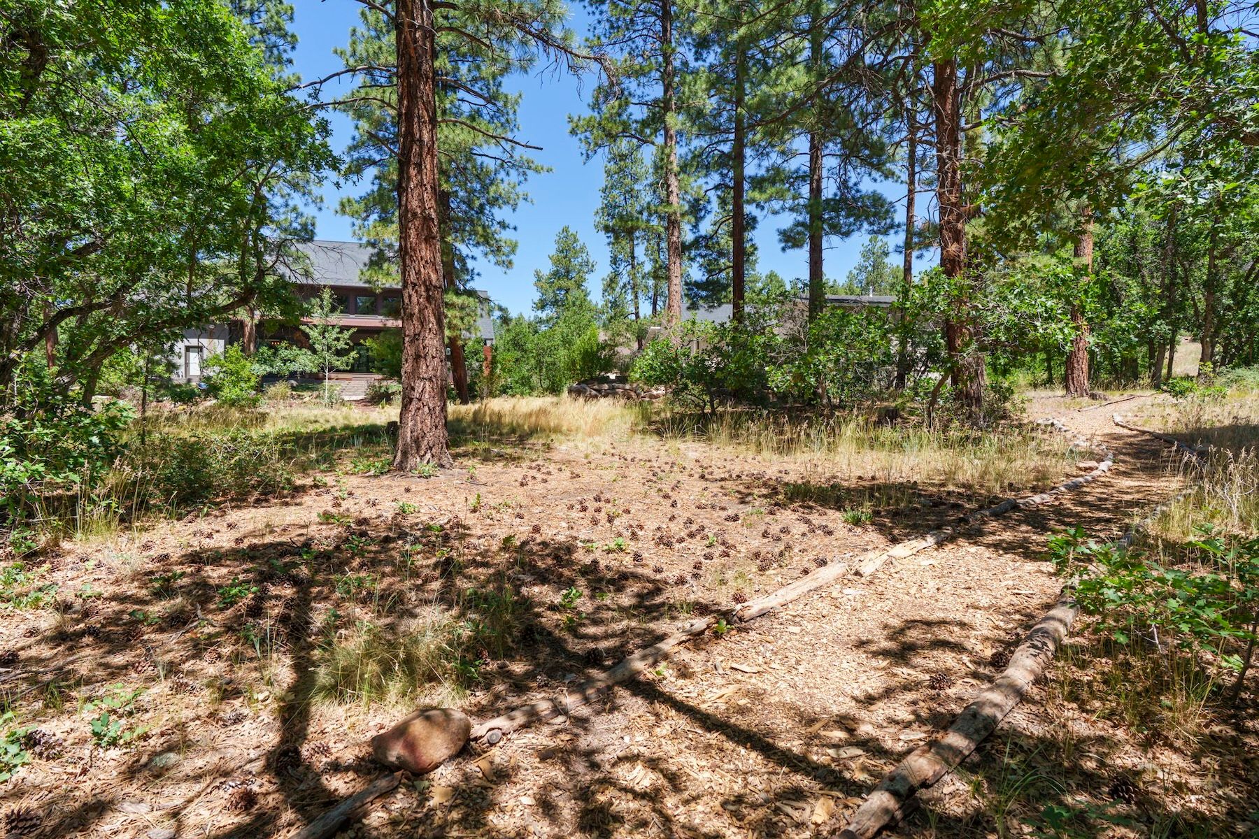  192 Needle Creek Trail, Durango, CO 81301 - 物件實景
