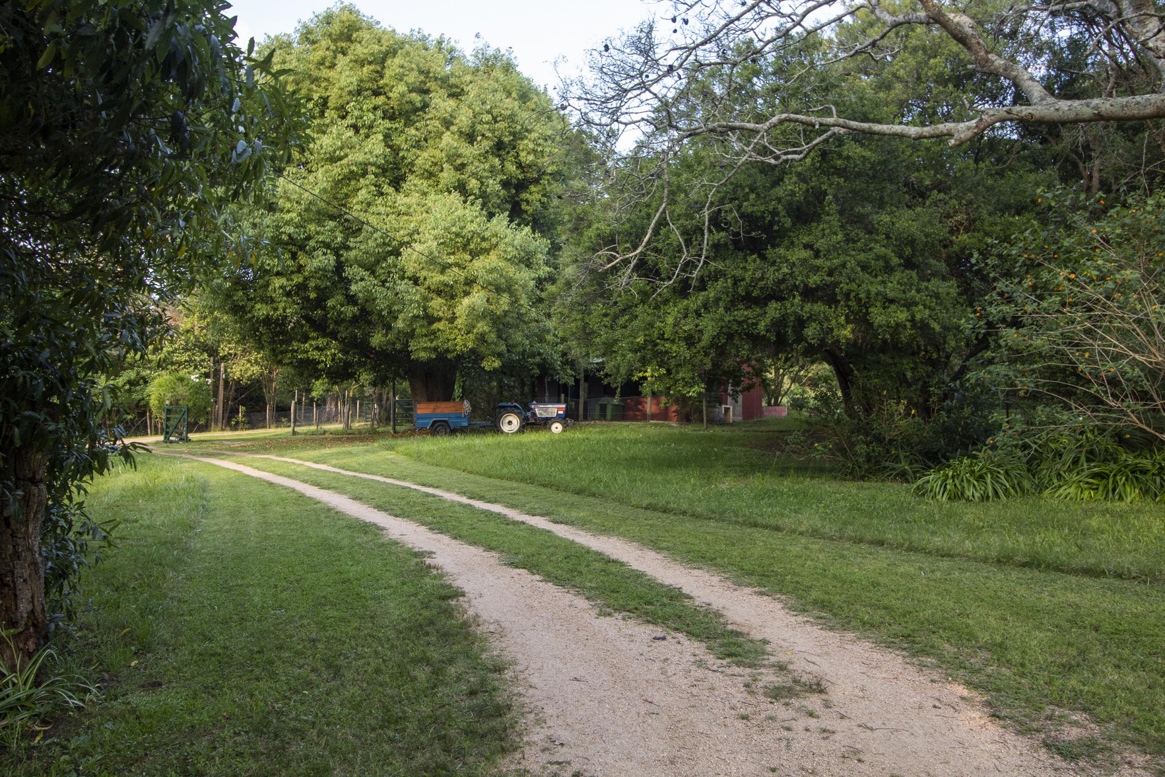  4,4 ha farm in Laguna del Sauce - 物件實景