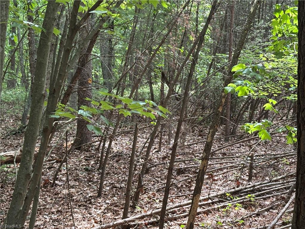 Pinnacle, North Carolina, 27043, United States, ,Land,For Sale,1829534