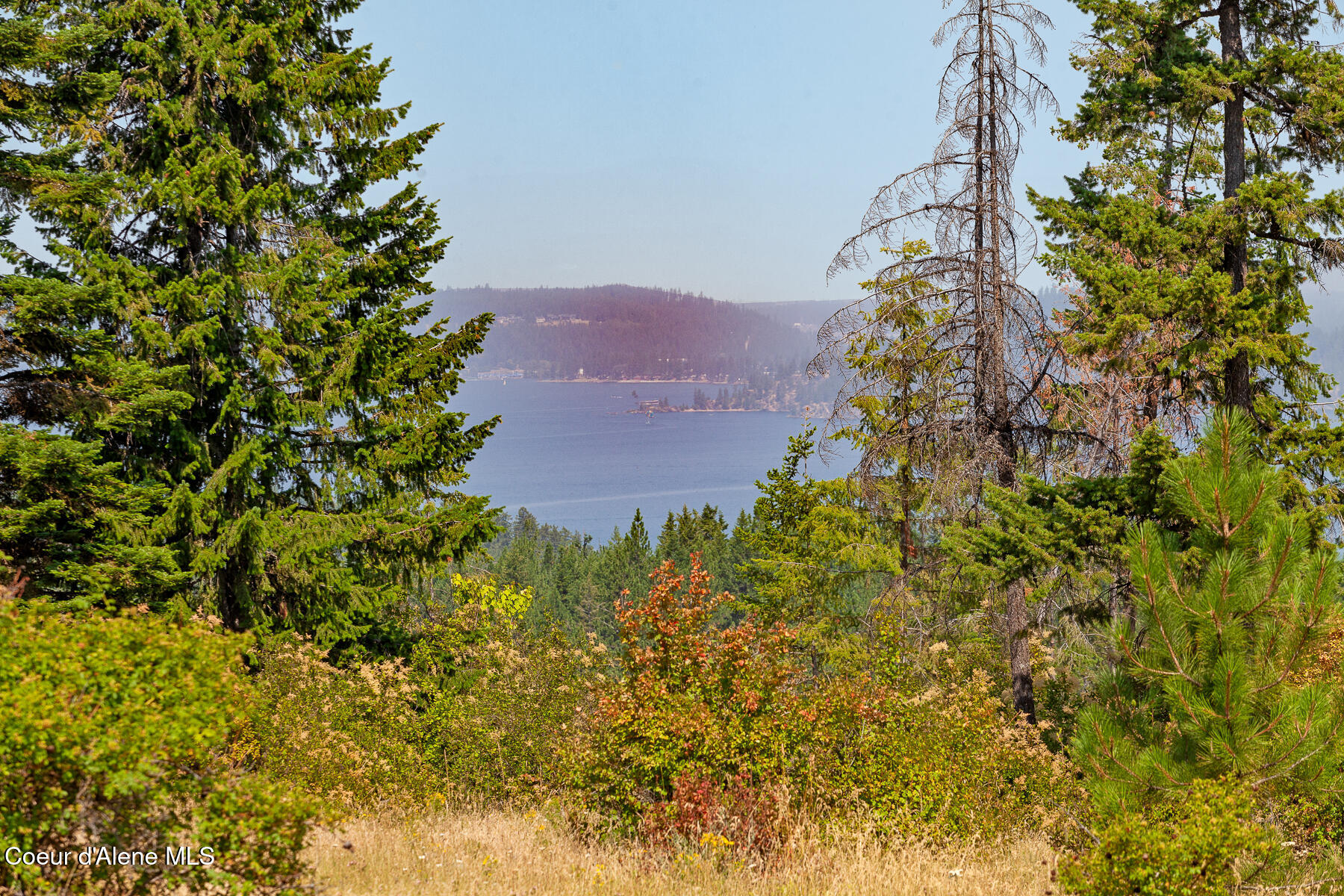 Harrison, Idaho, 83833, United States, 1 Bedroom Bedrooms, ,1 BathroomBathrooms,Residential,For Sale,1980772