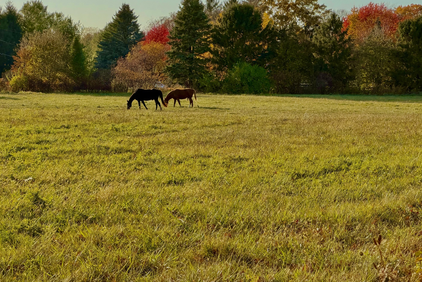 Sycamore, Illinois, 60178, United States, 4 Bedrooms Bedrooms, ,3 BathroomsBathrooms,Residential,For Sale,1988163