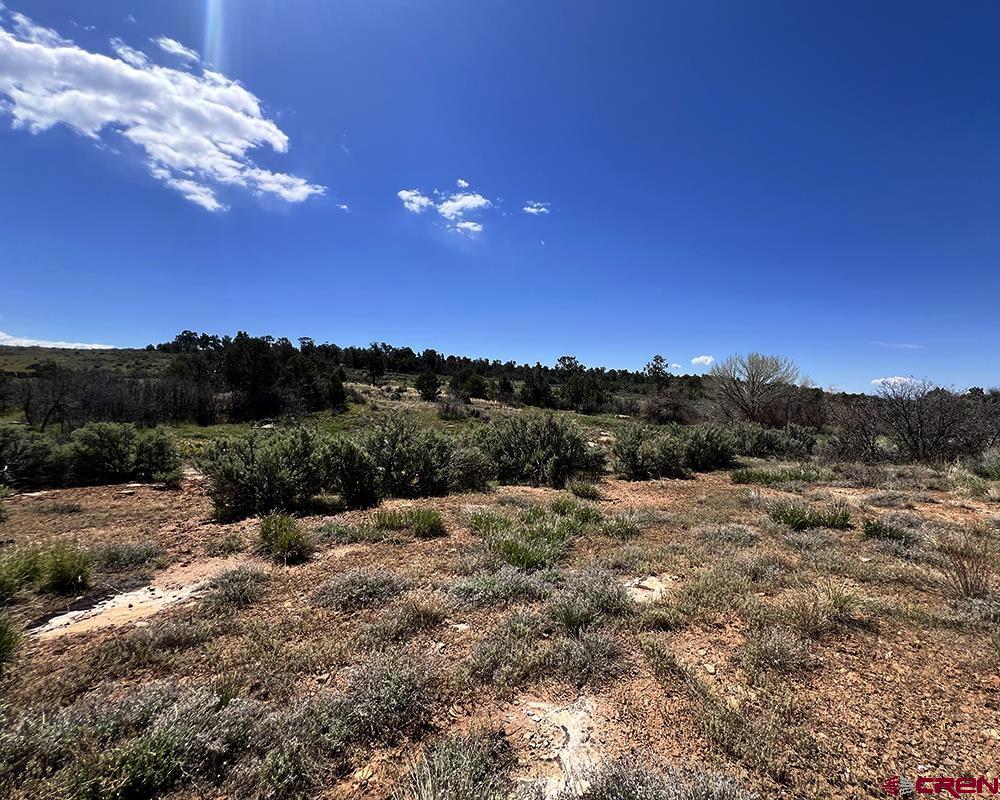 Yellow Jacket, Colorado, 81335, United States, 4 Bedrooms Bedrooms, ,3 BathroomsBathrooms,Residential,For Sale,1982635