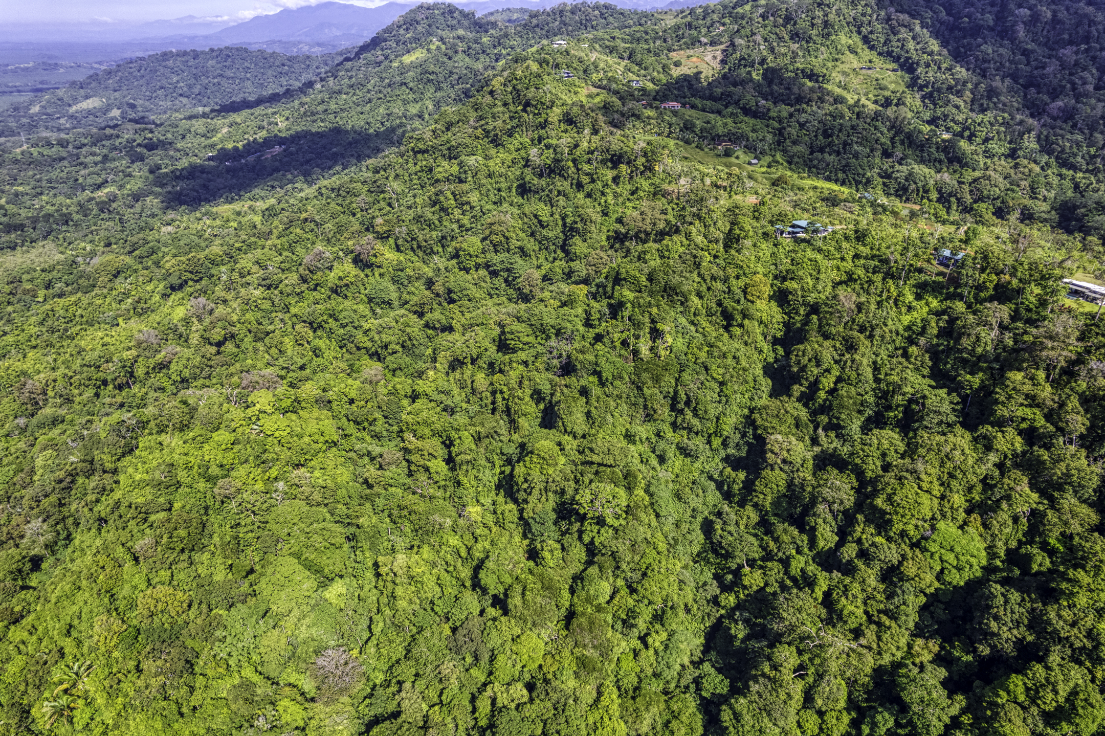 Portalon, Dominical, Puntarenas, CR, ,Land,For Sale,Portalon,1586164