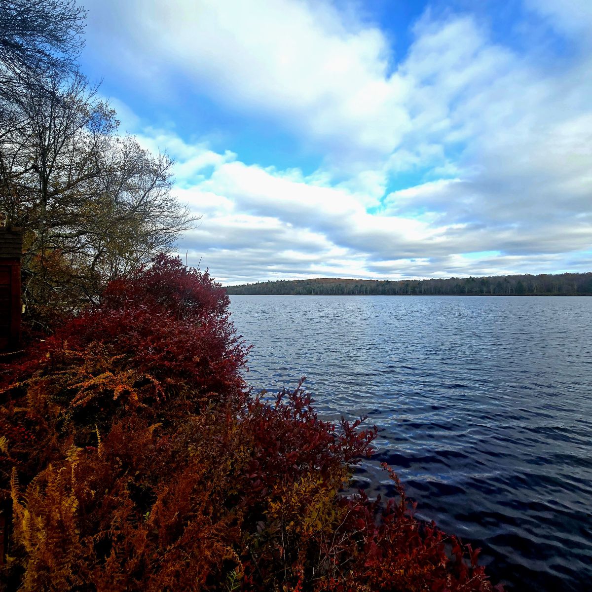 Forestburgh, New York, 12777, United States, 3 Bedrooms Bedrooms, ,2 BathroomsBathrooms,Residential,For Sale,1990436