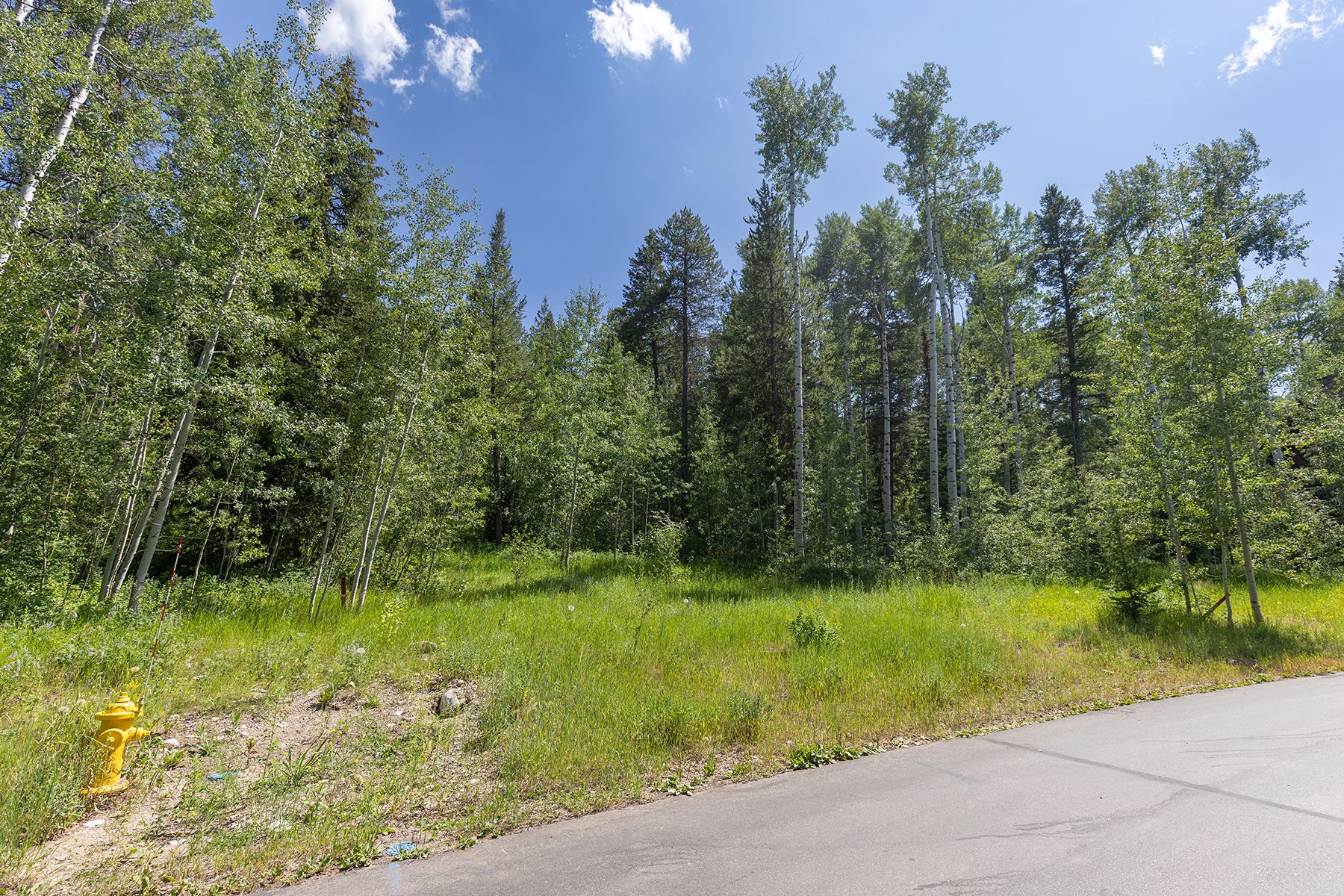  Teton Springs Cabin Site - 物件實景