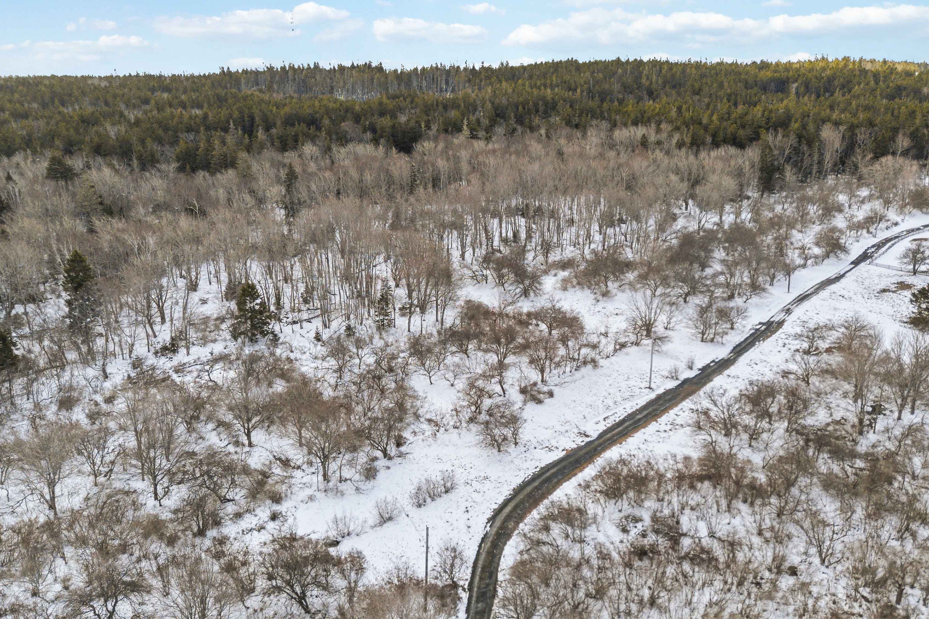  Lower Rose Bay, - 物件實景