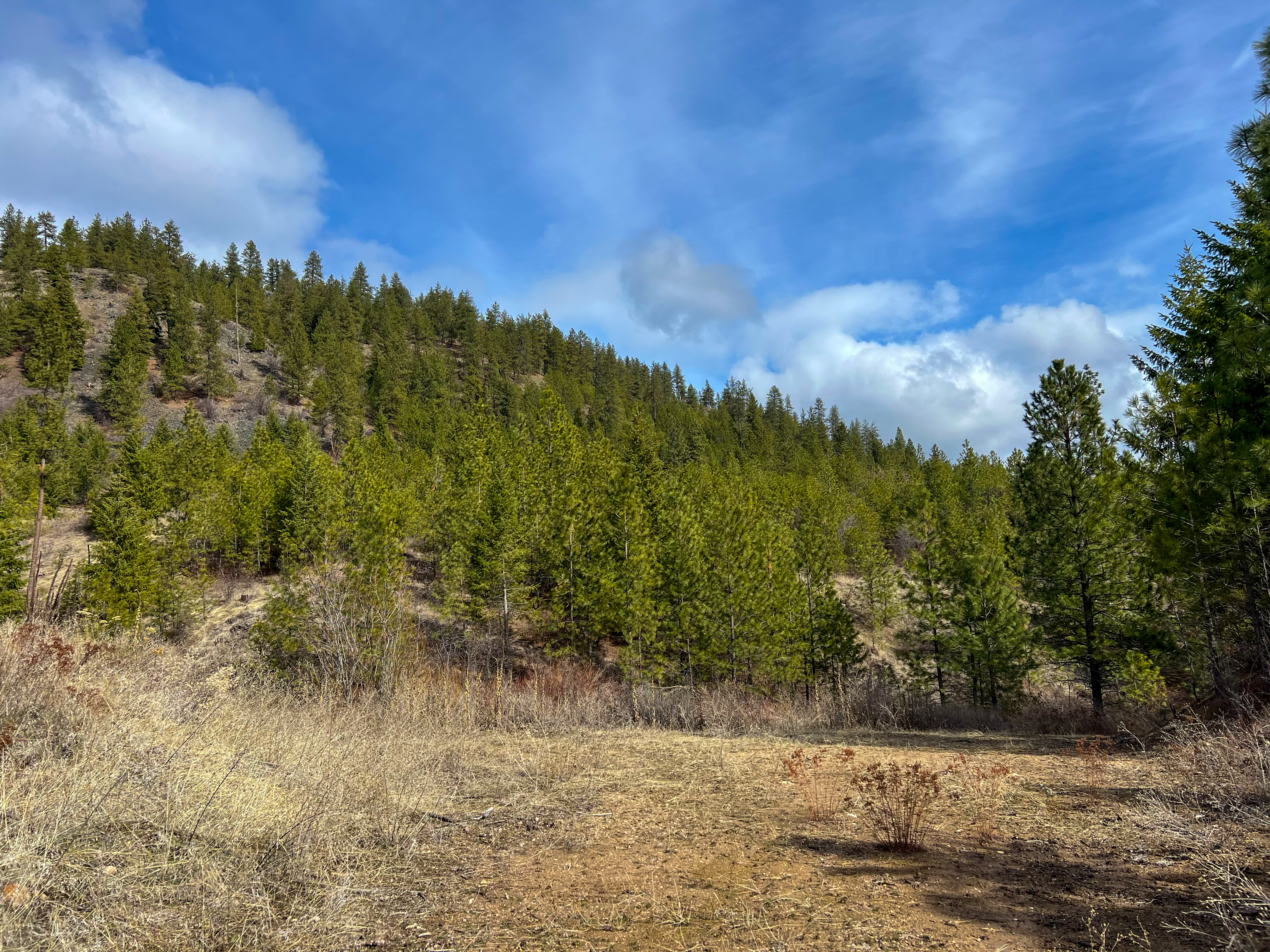 Valley, Washington, 99181, United States, ,Land,For Sale,1979391