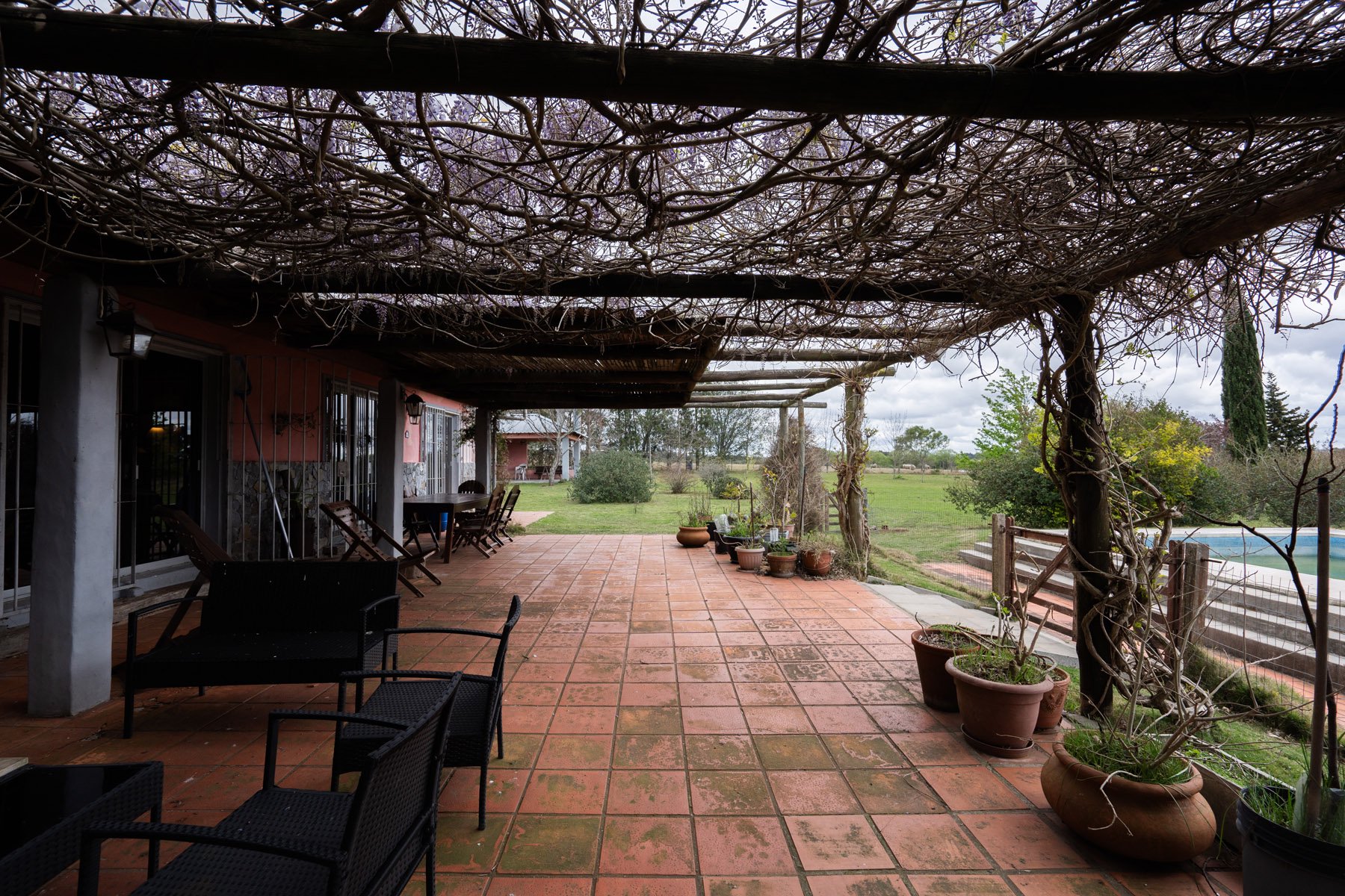  5-hectare farm in Pueblo Edén. - 物件實景