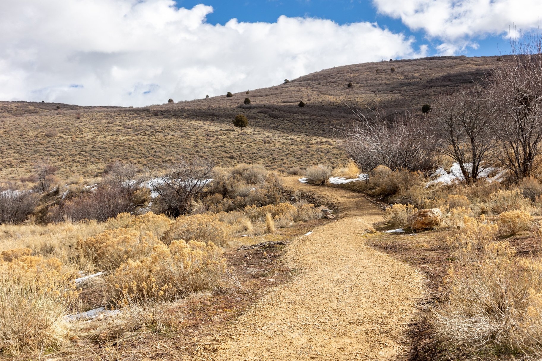  Turnkey Mountain Retreat at High Star Ranch - 物件實景