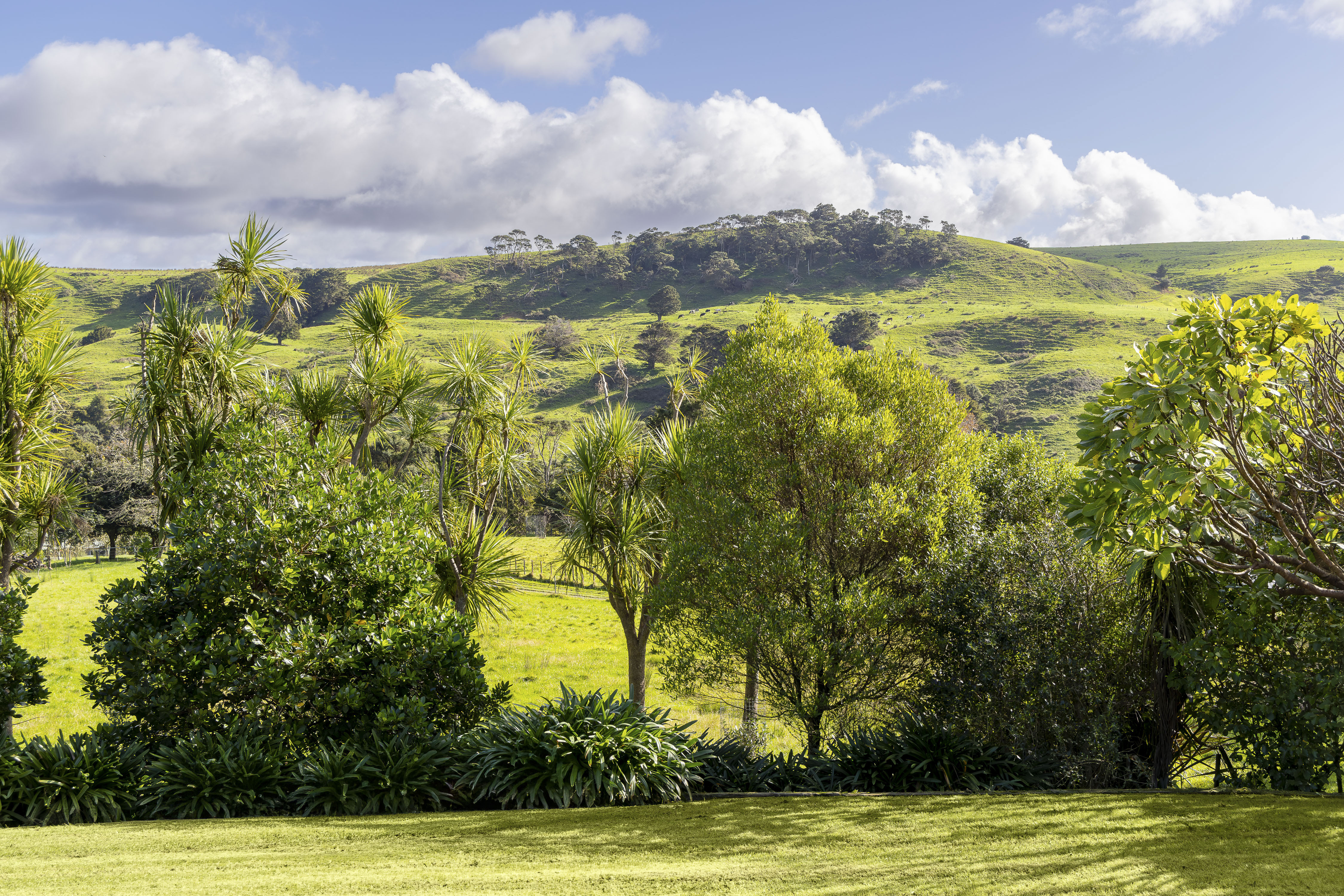  Tuscany on Taylor - 物件實景