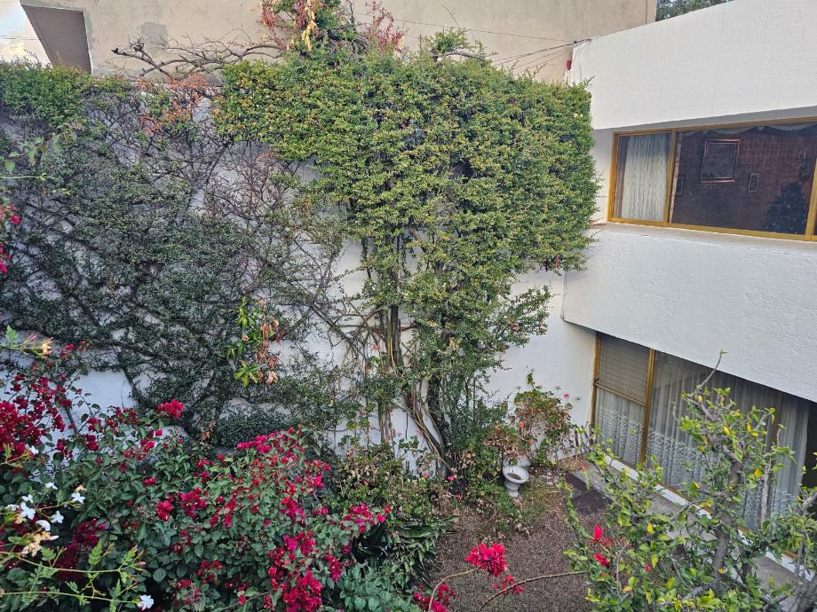 Coyoacán, Ciudad de México, 04310, Mexico, 4 Bedrooms Bedrooms, ,4 BathroomsBathrooms,Residential,For Sale,1692379