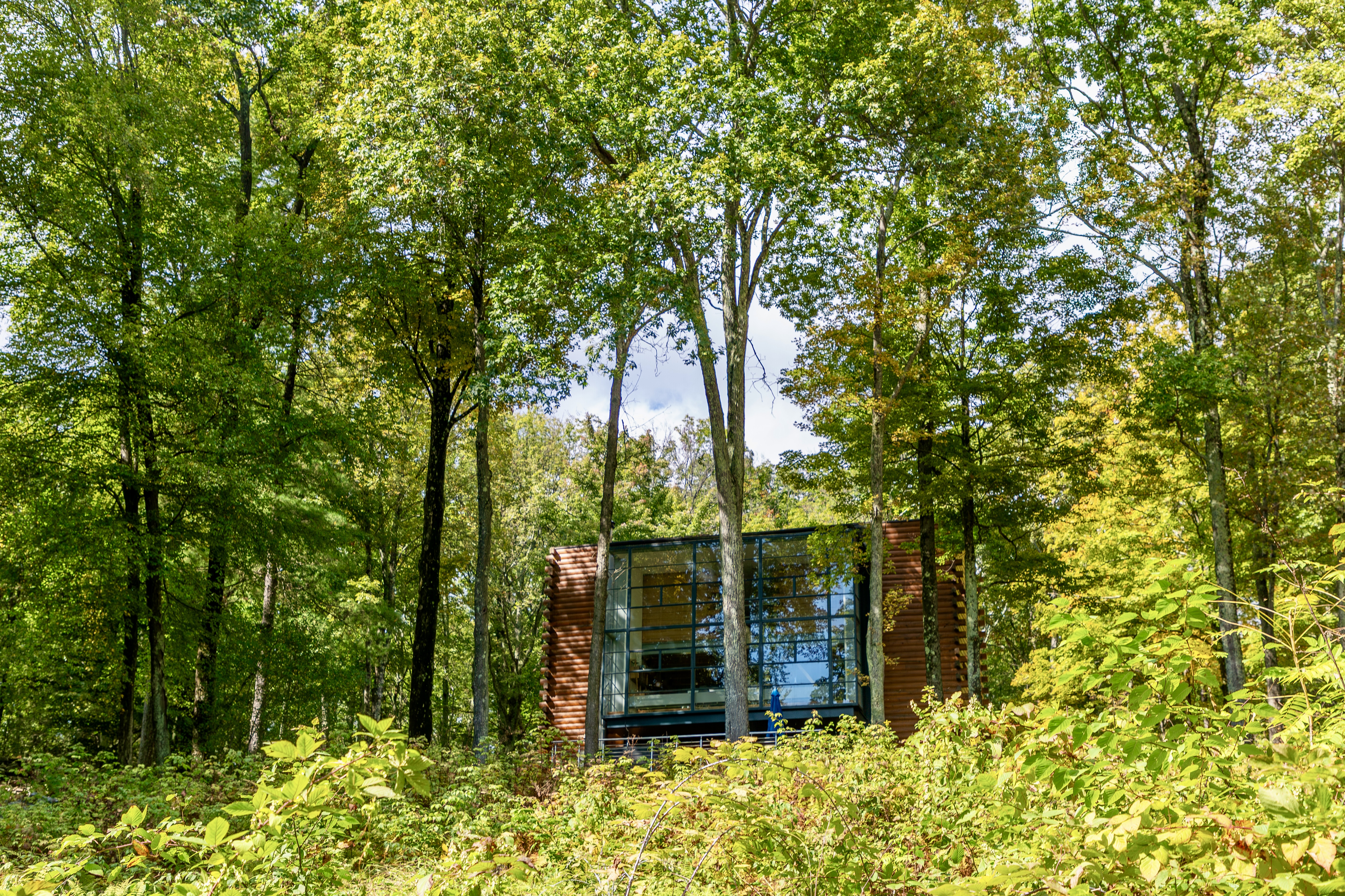  Modern Loft Living in a Private Woodland Setting - 物件實景